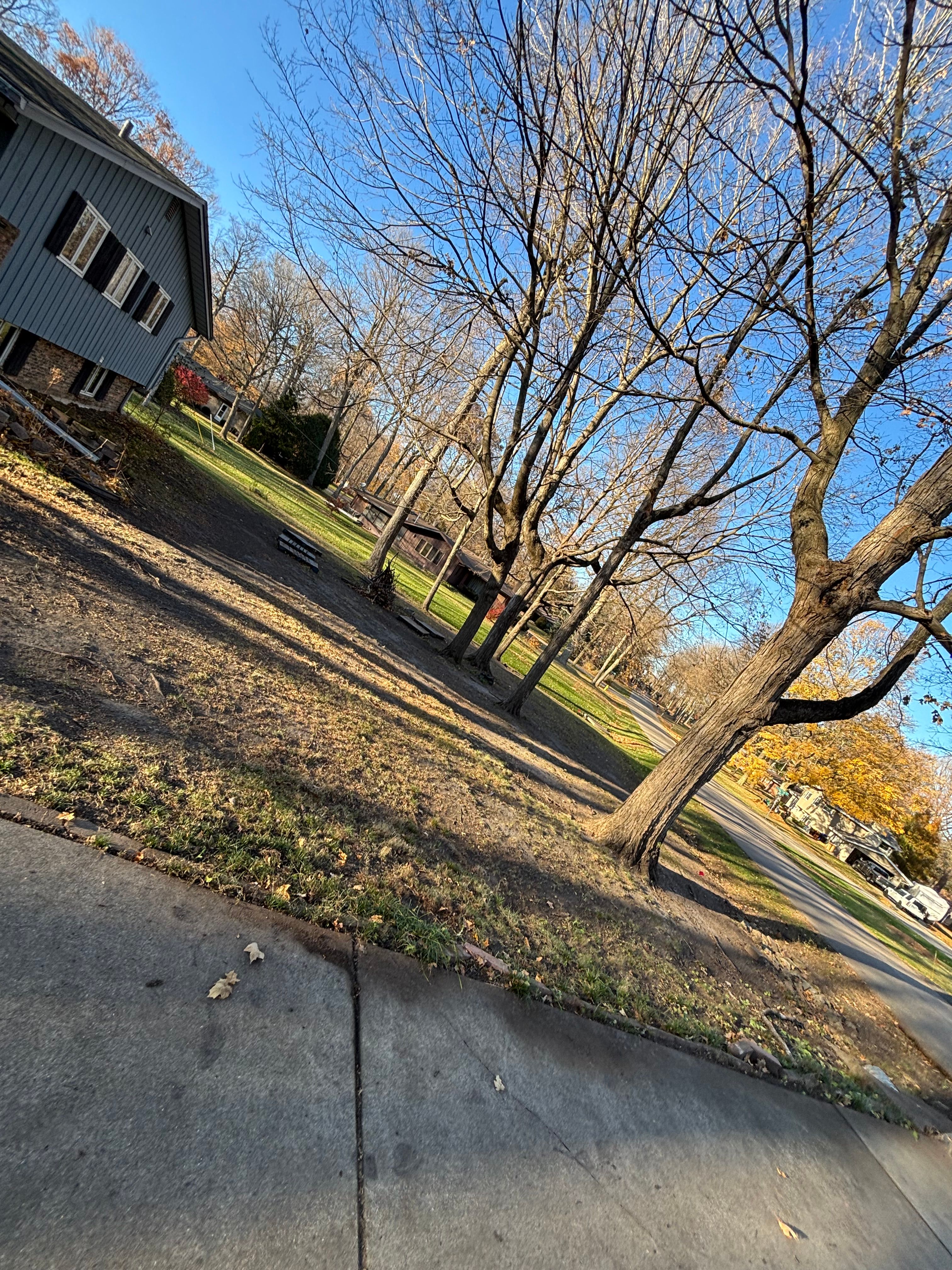  for Cena Landscaping in Rockford, IL