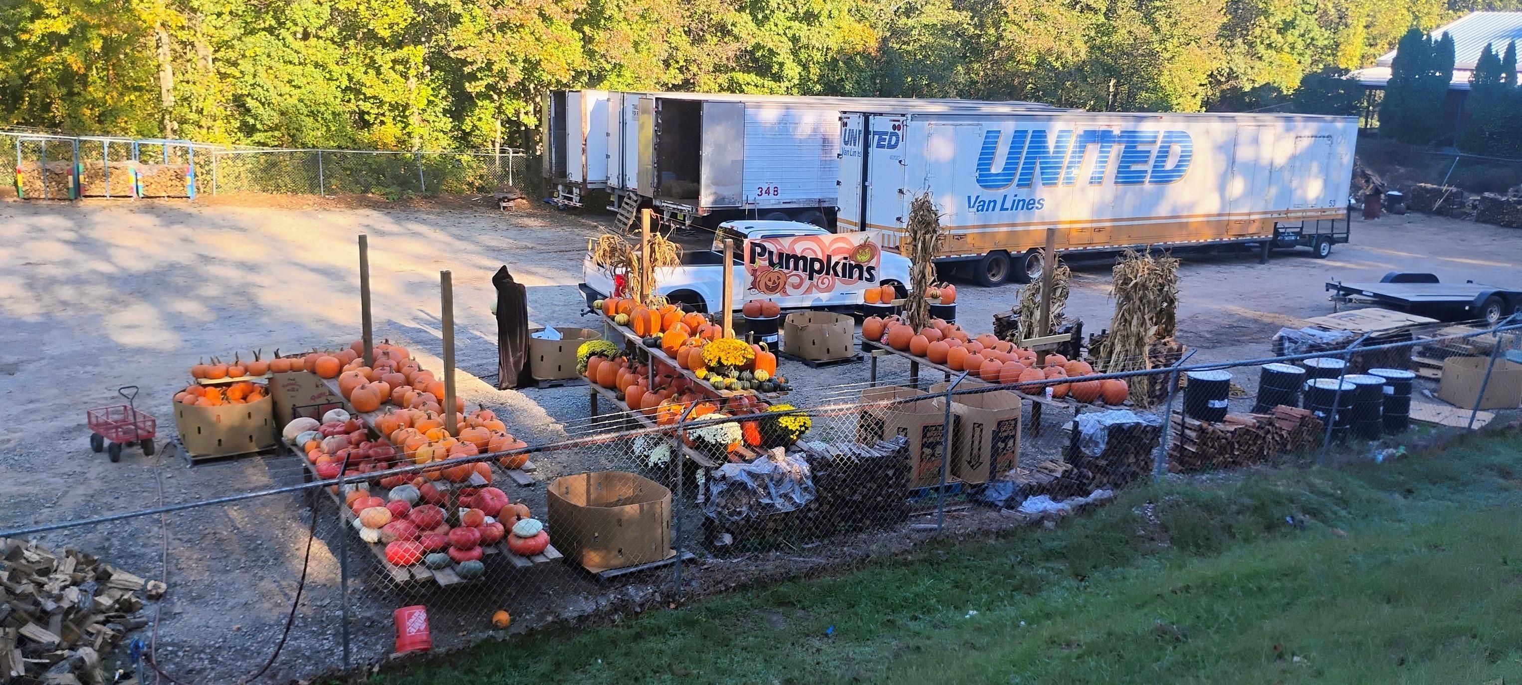 All Photos for BAM Another Pinestraw Lot in Flowery Branch, GA