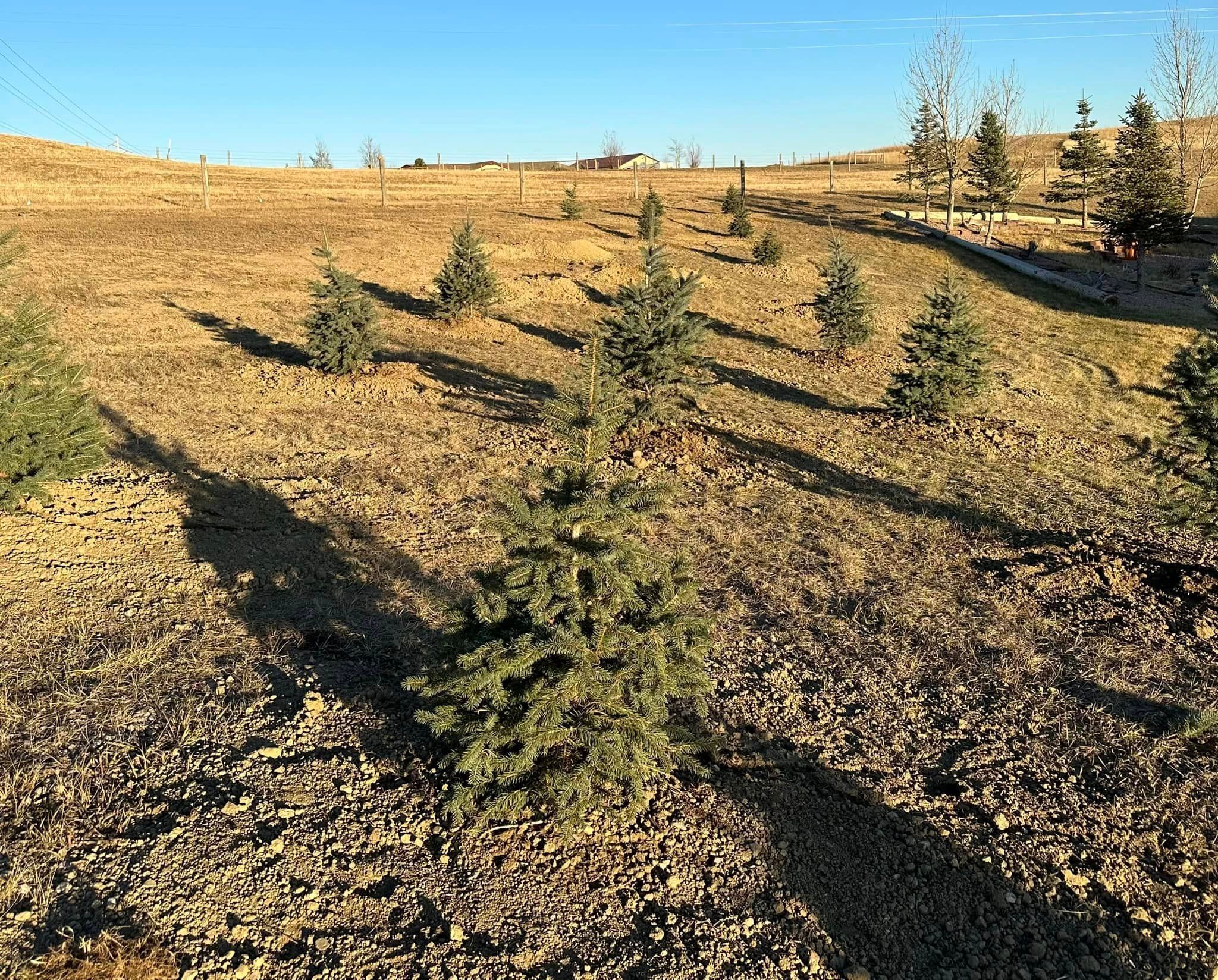  for Griff Skid Steer Services in Gillette, WY