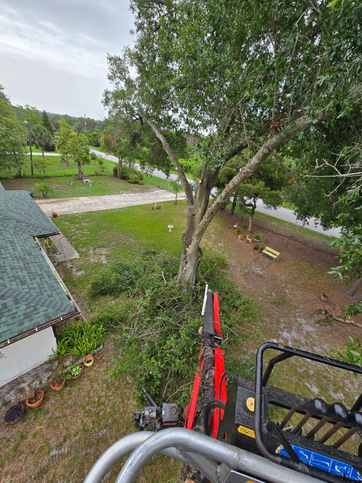 All Photos for Near Me Tree Service, Inc. in DeLand, FL