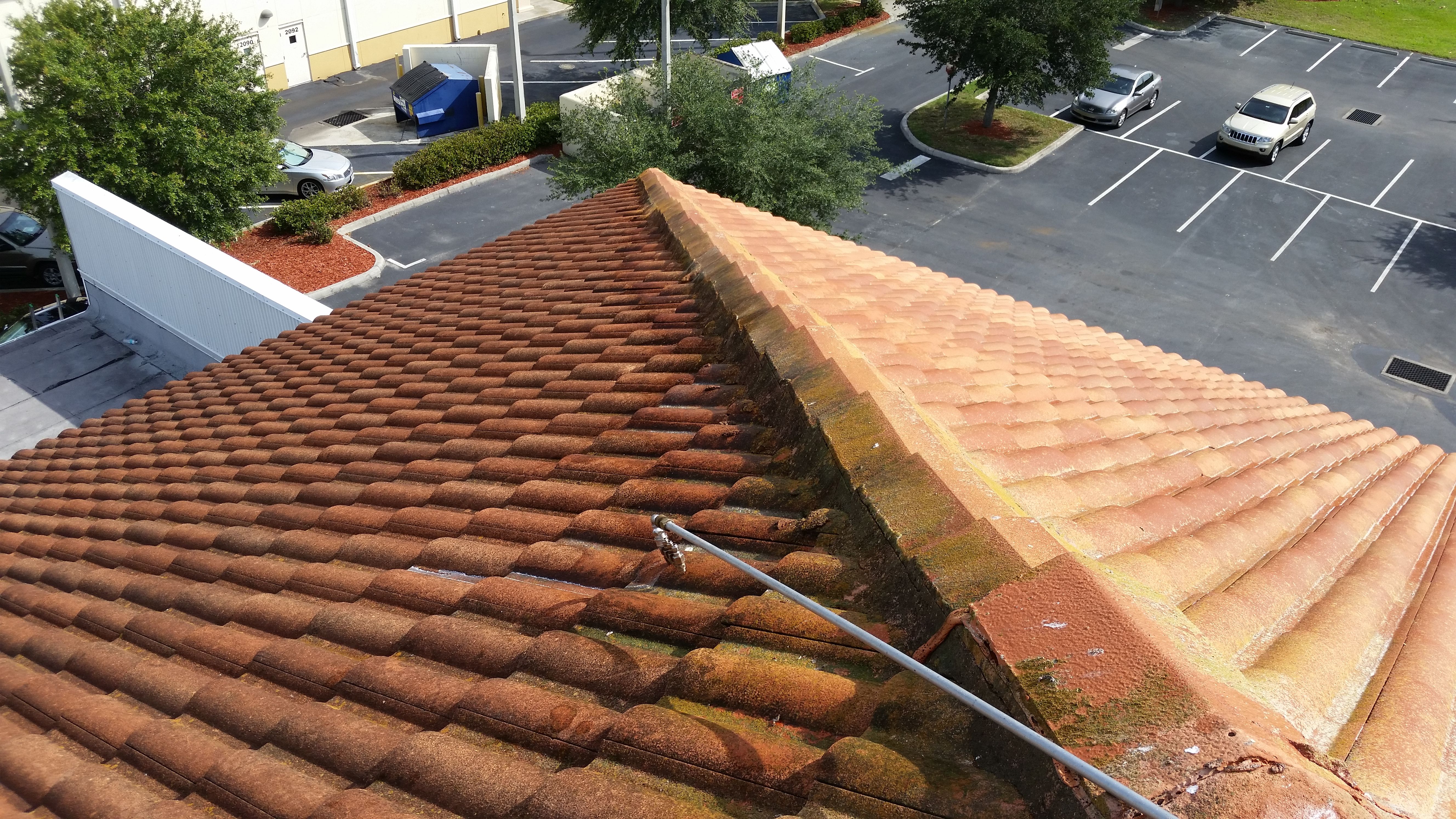  for Blue Stream Roof Cleaning & Pressure Washing in Tampa, FL