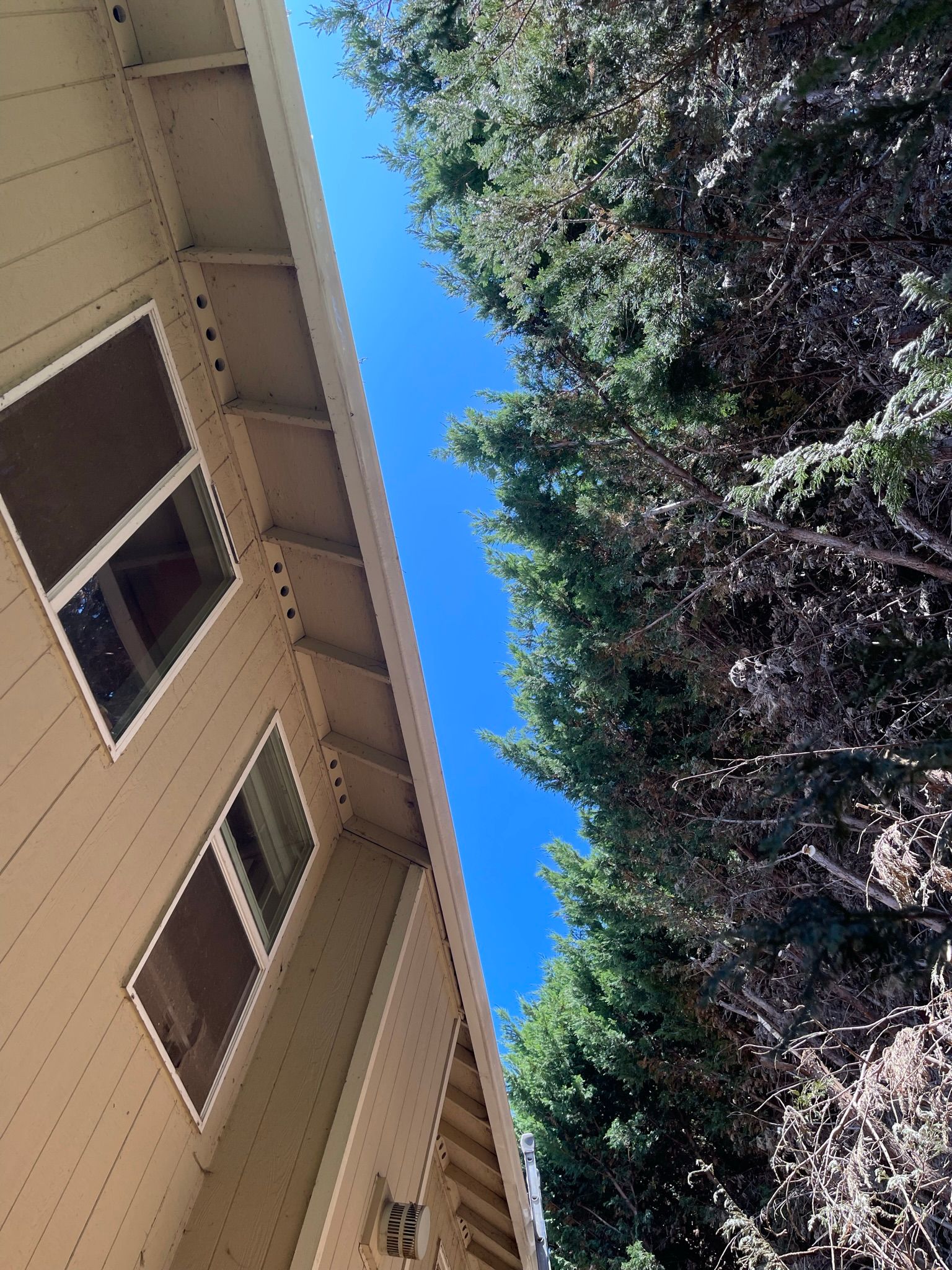  for Tony's Remodeling & Painting in Renton, WA