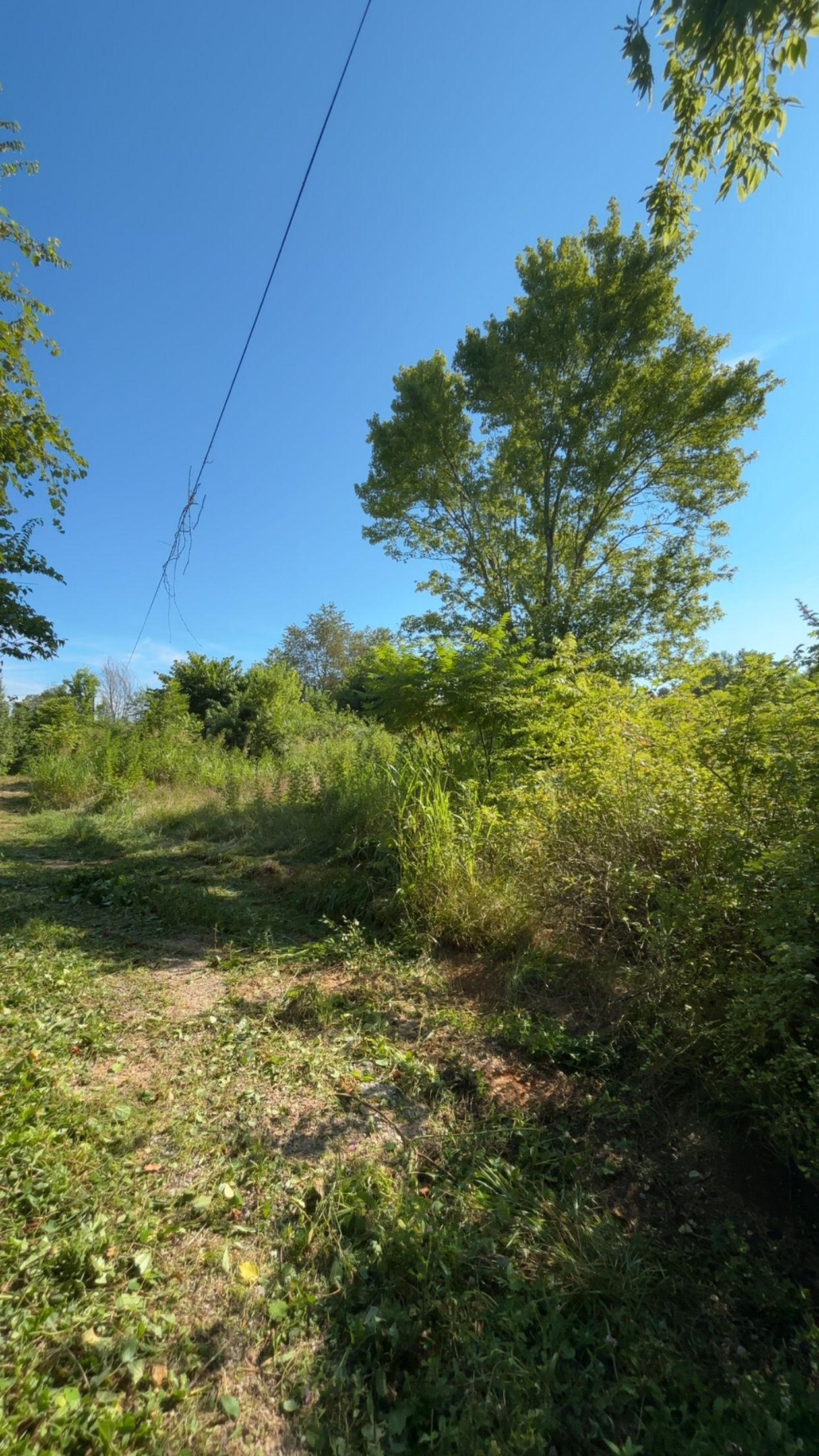  for Three Rivers Dirt Works LLC in Knoxville, TN