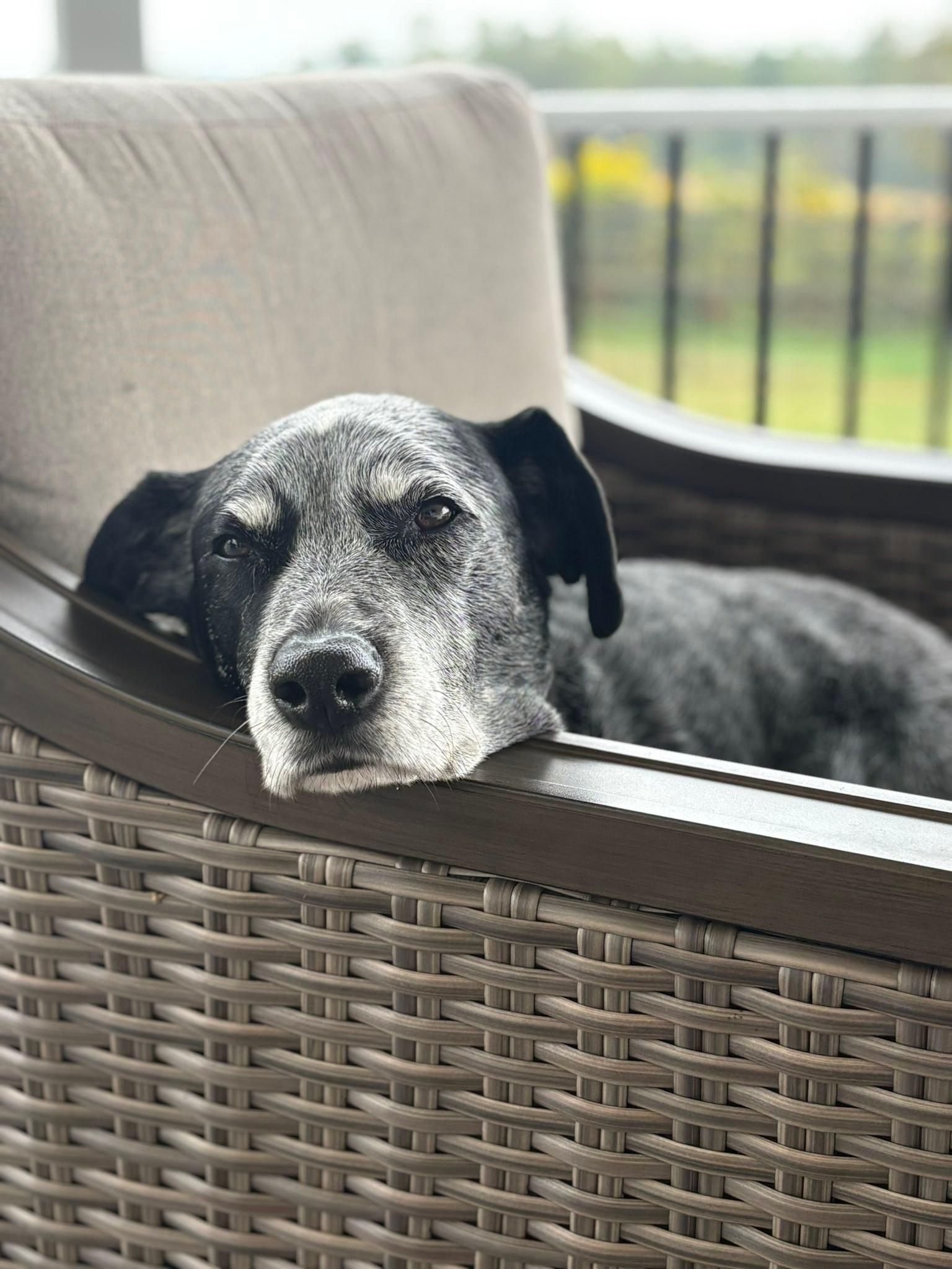  for DPD Construction in Cadiz Township, OH