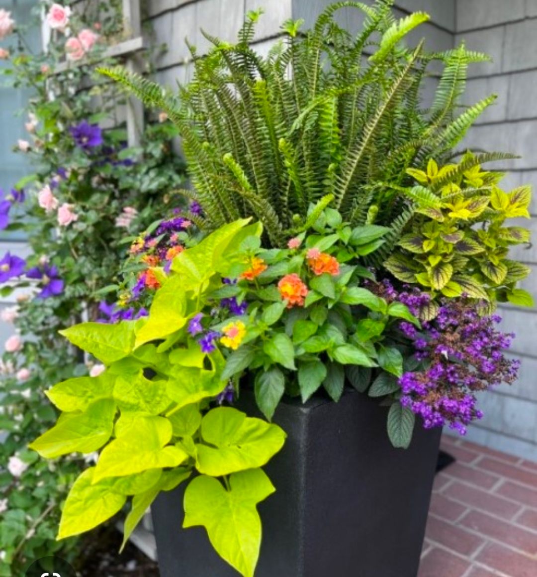  for Hightower Home Improvement and Garden in Atlanta, GA
