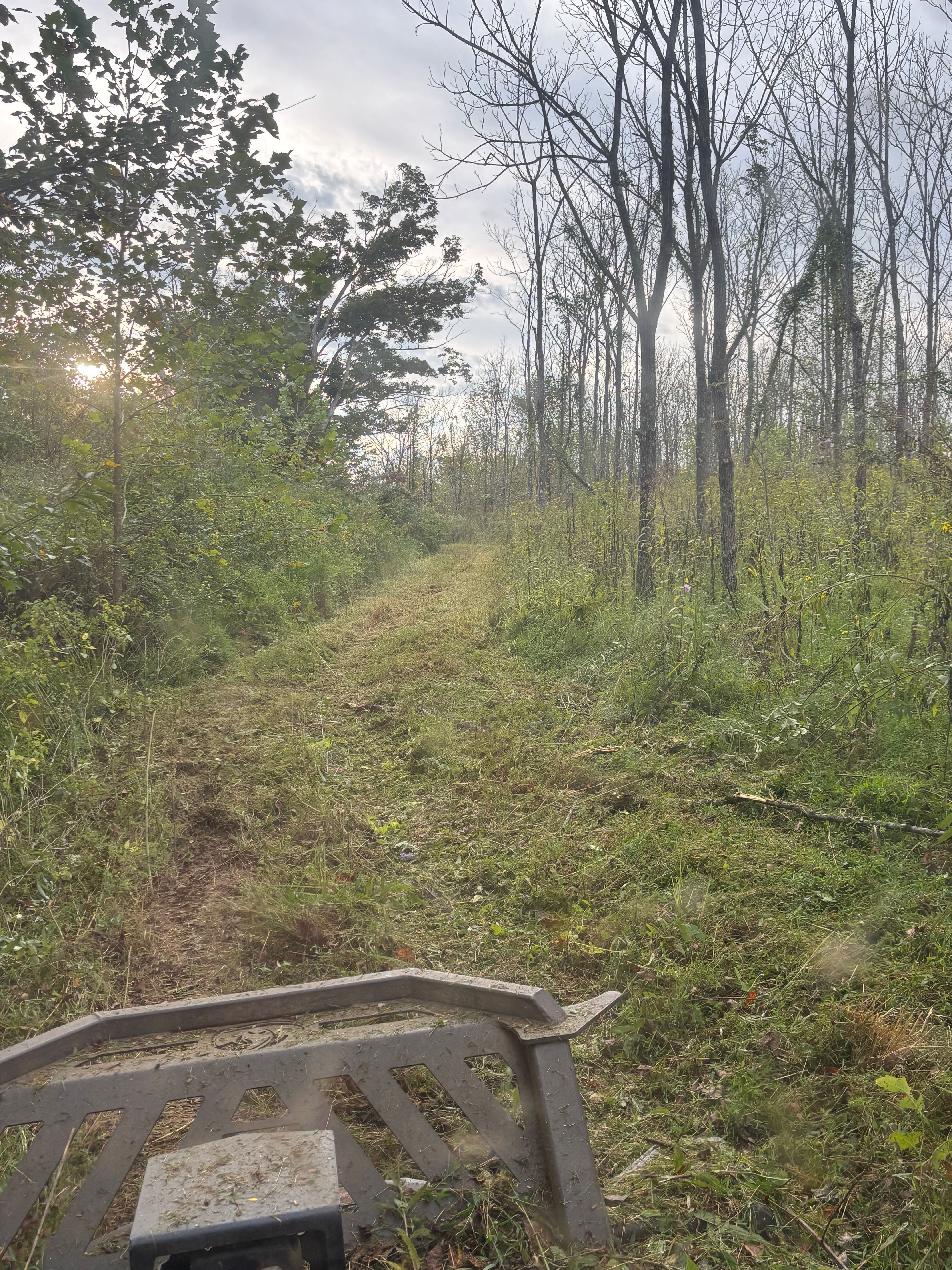  for Gregory Grass and Lawn in Lafayette, TN