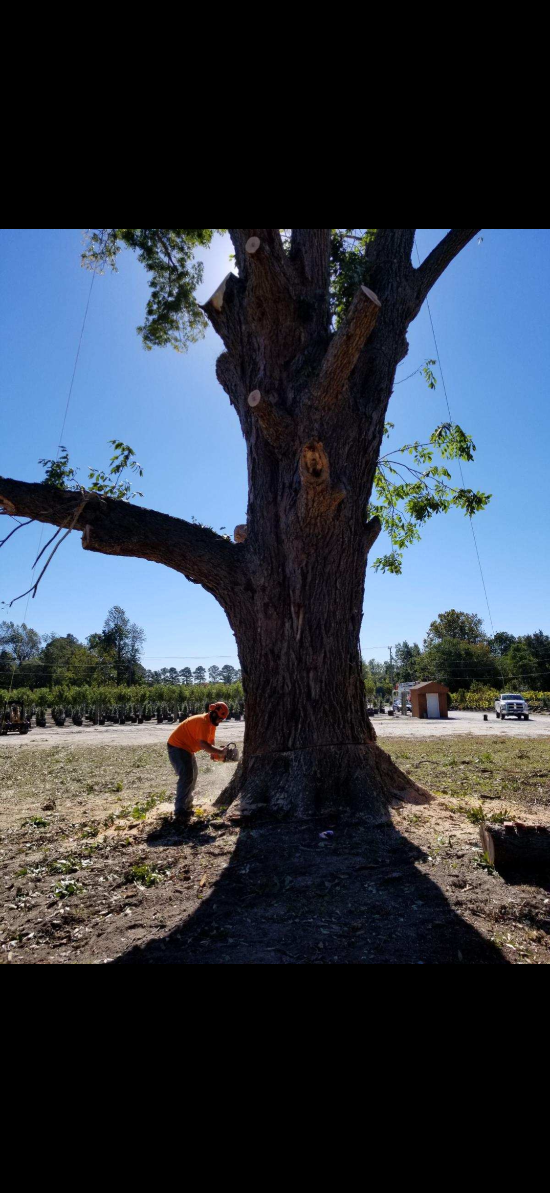  for James River Tree Service in Suffolk, VA