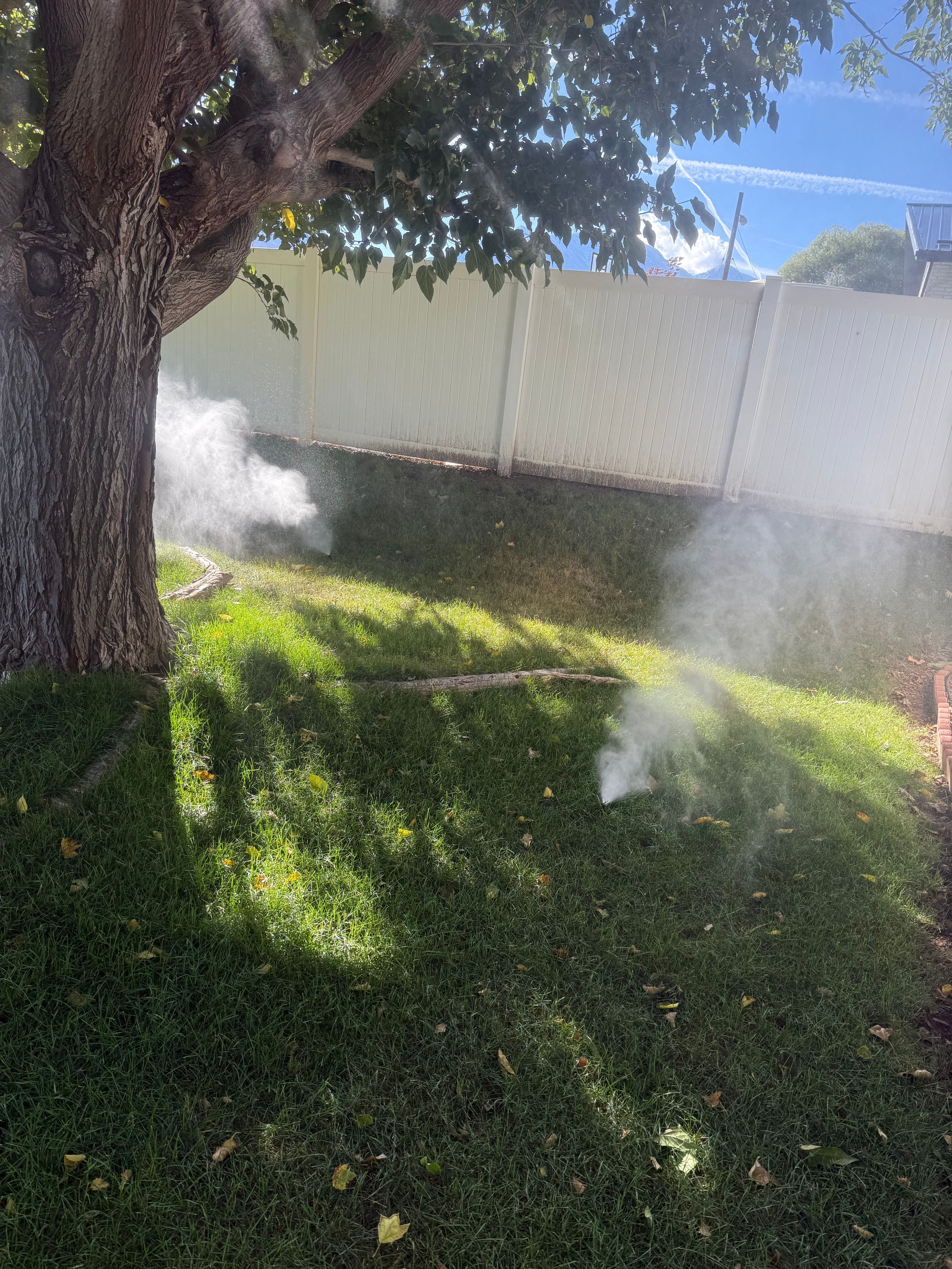  for Platinum Lawn Service in Santaquin, UT