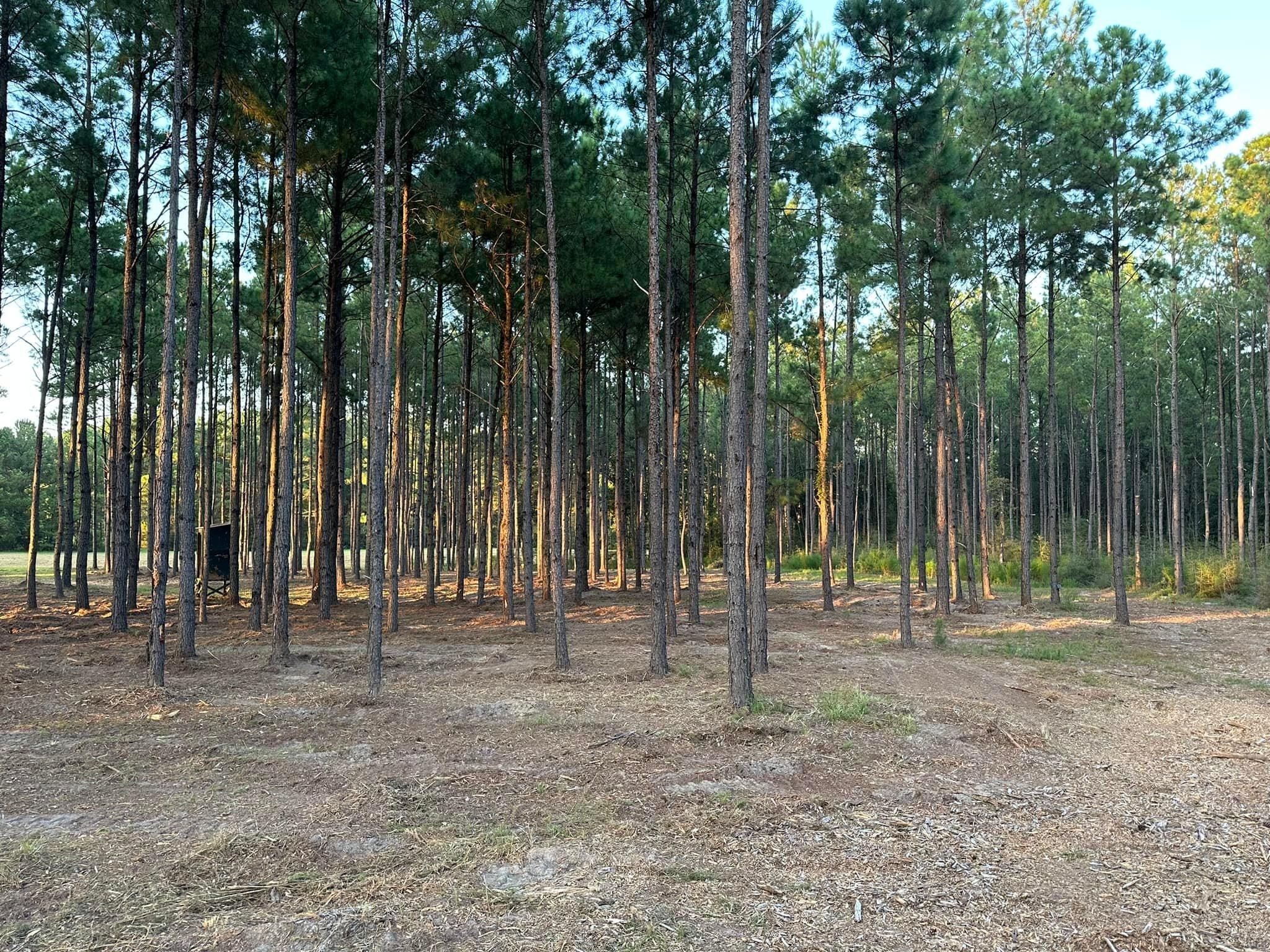 All Photos for White’s Land Maintenance in Milton,, FL