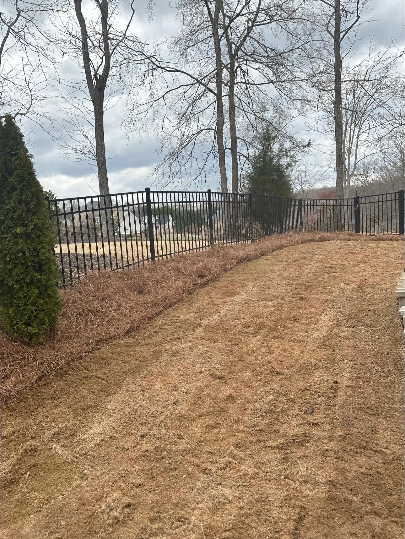 All Photos for Sexton Lawn Care in Jefferson, GA