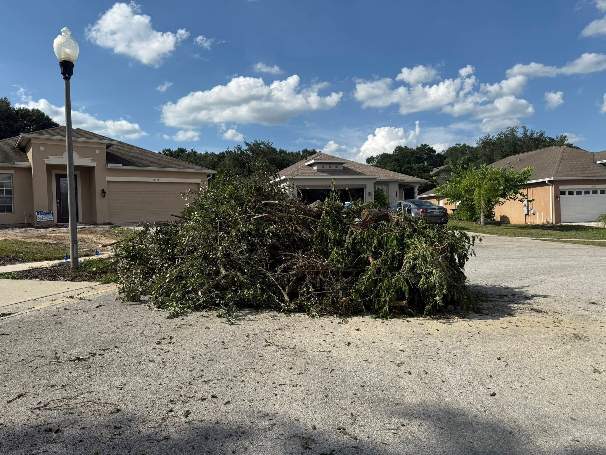  for Amerigrown Tree And Lawn in Apopka, FL