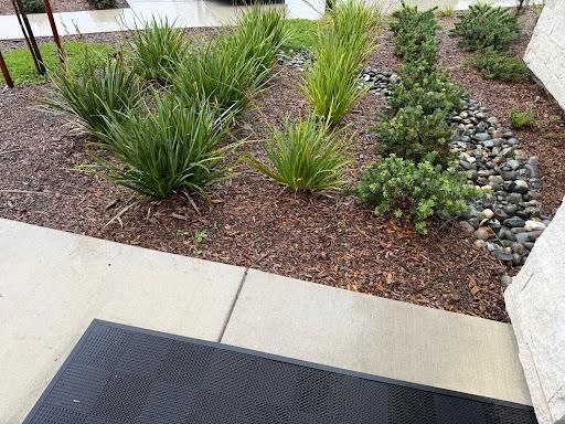  for Blue Water Landscape Services in El Dorado Hills, CA