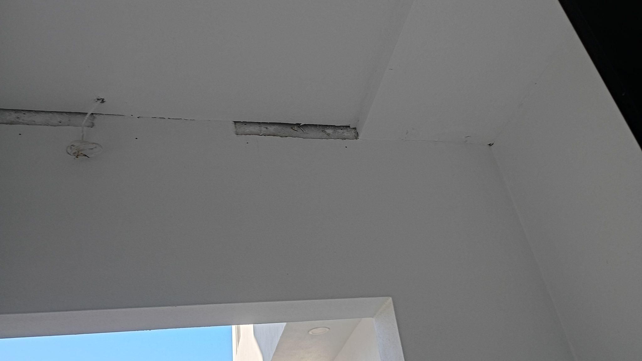  for Escorpio Painting in Tampa, FL