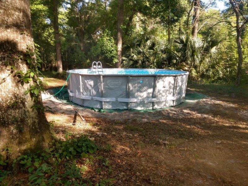  for Down & Dirty Pool Service in Crawfordville, FL
