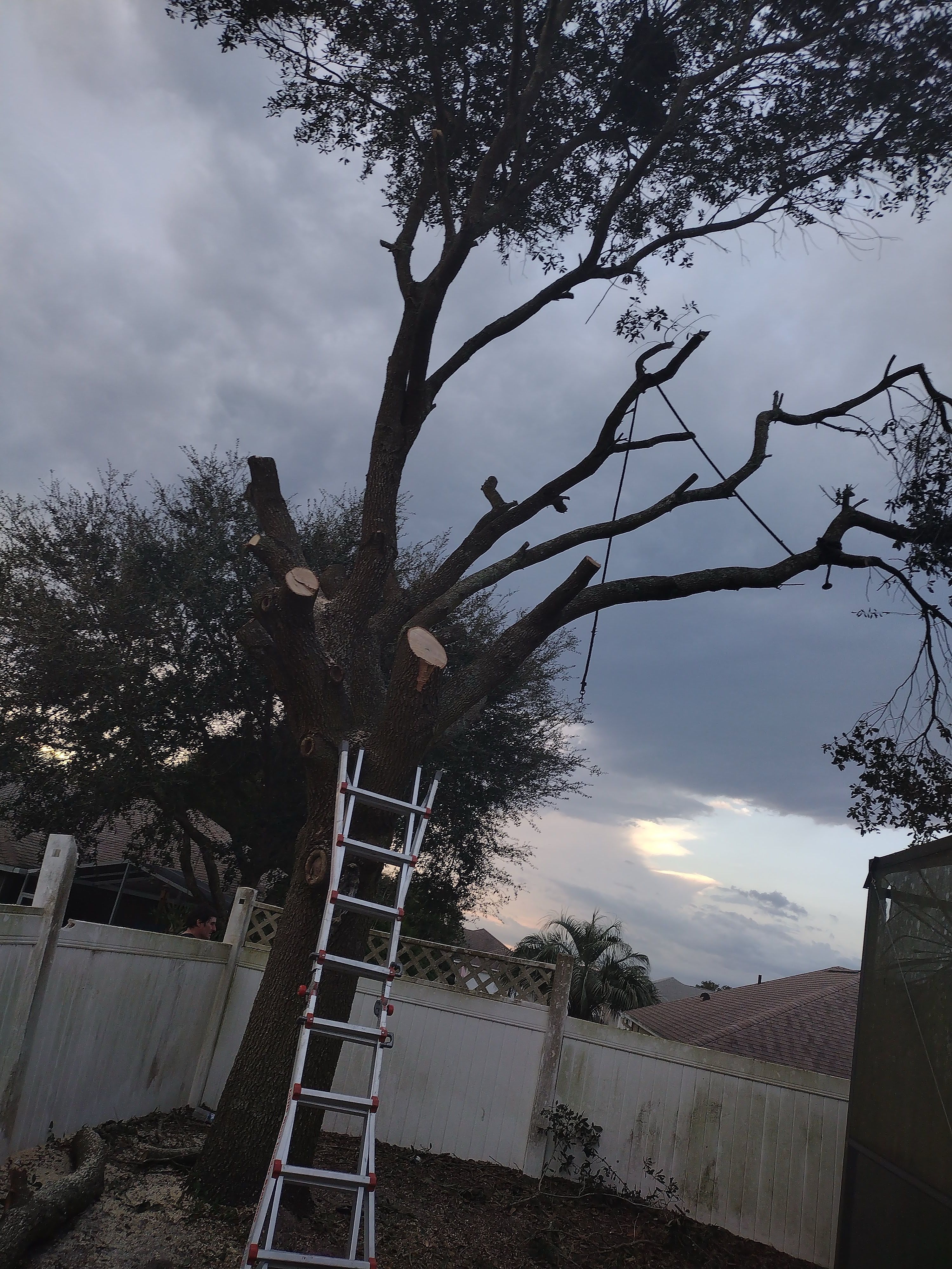  for Joel's Local Handyman Services in Clermont, FL