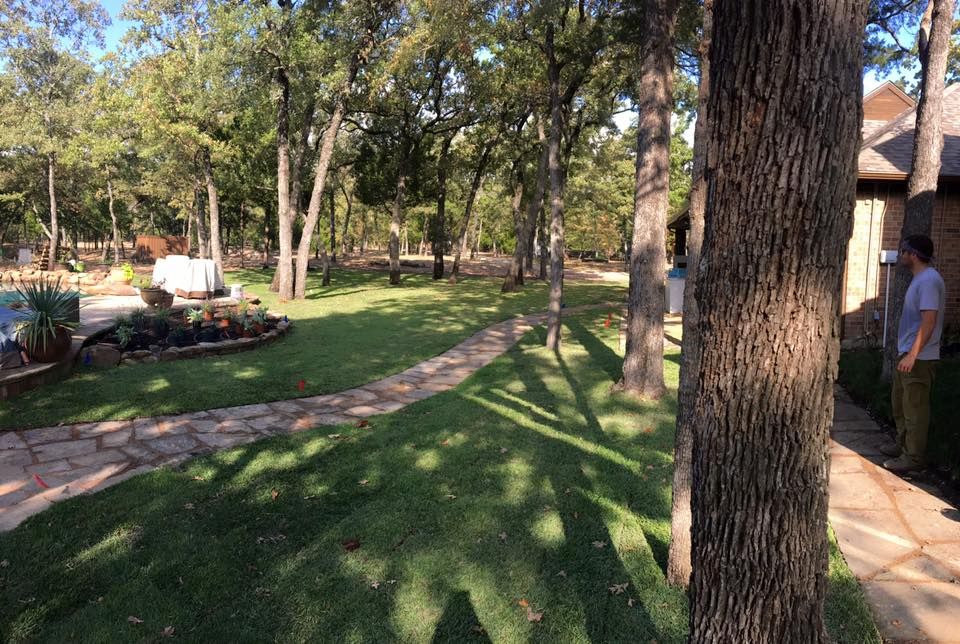  for A Realtree Service in Garland, TX