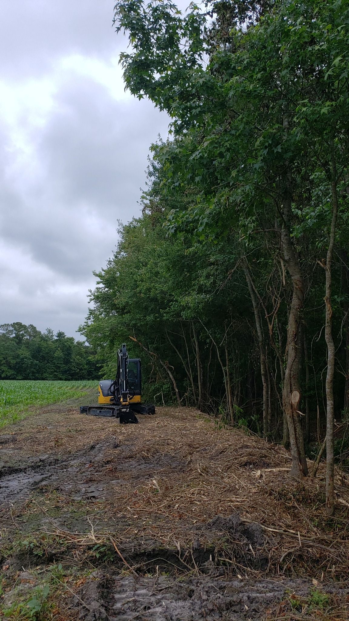 All Photos for TJ Farm and Land Management in Loris, SC