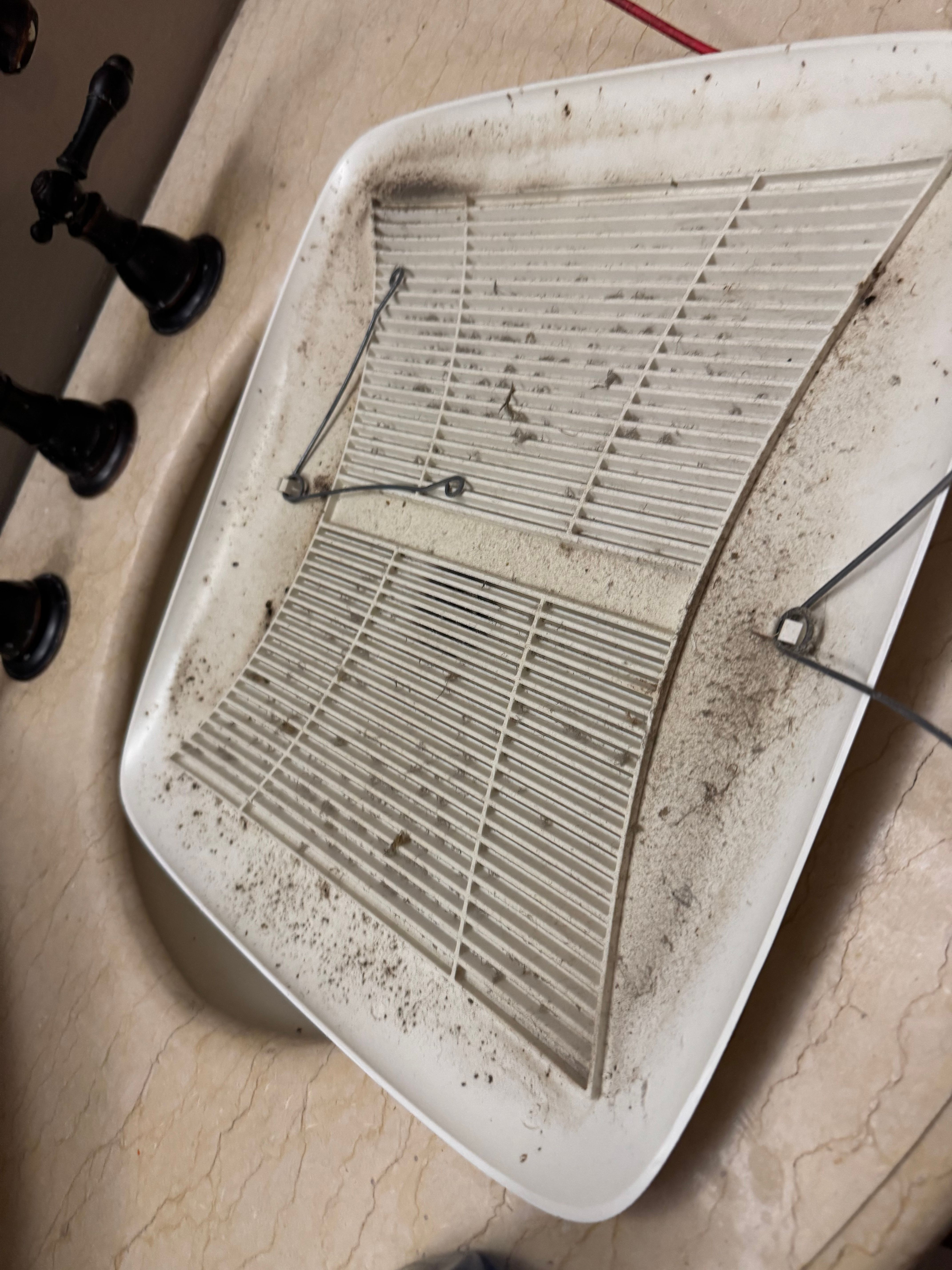  for Moving Maid Easy in Winston-Salem, NC