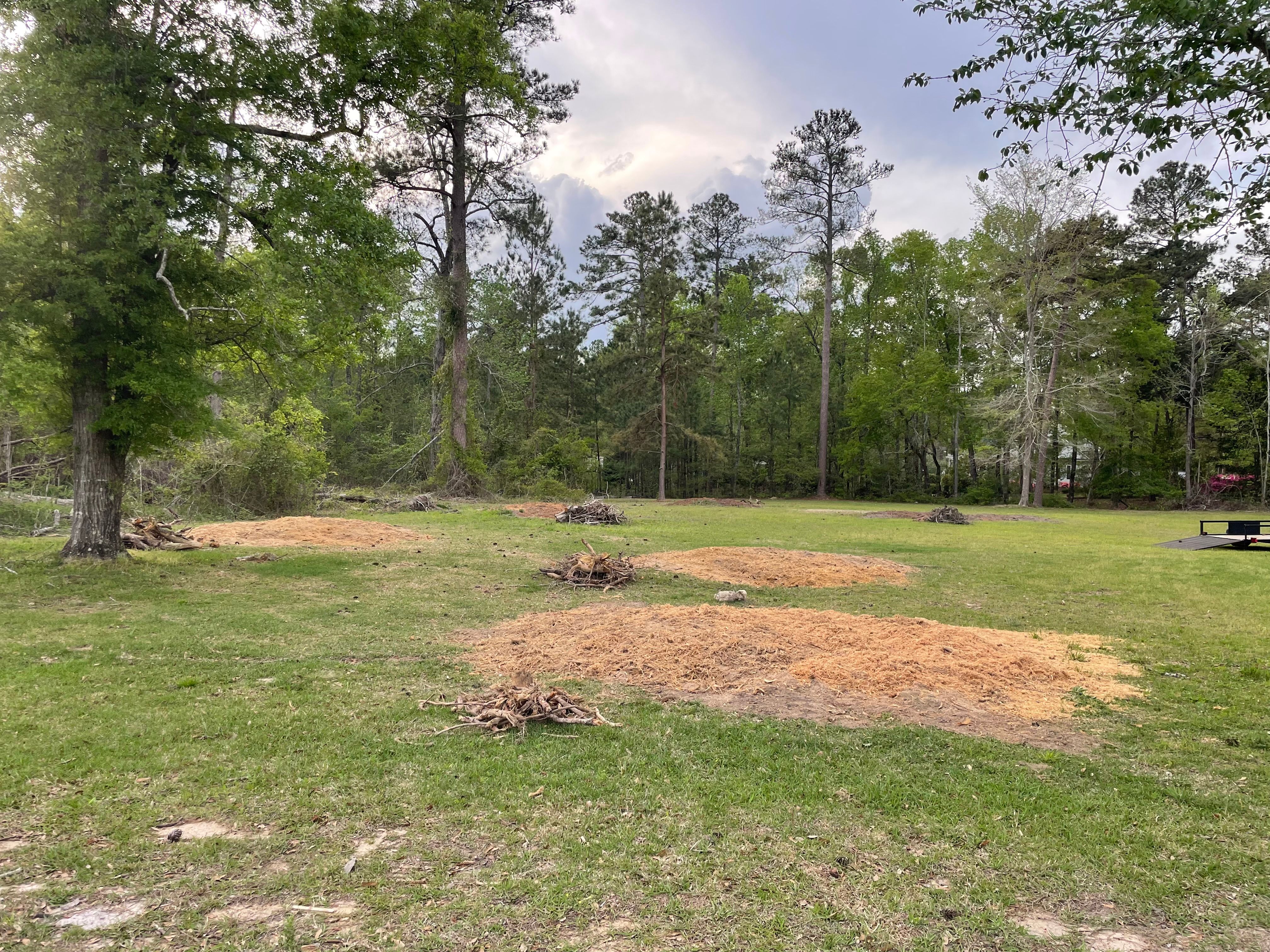 All Photos for MJB’s Stump Grinding LLC in Tennille, GA