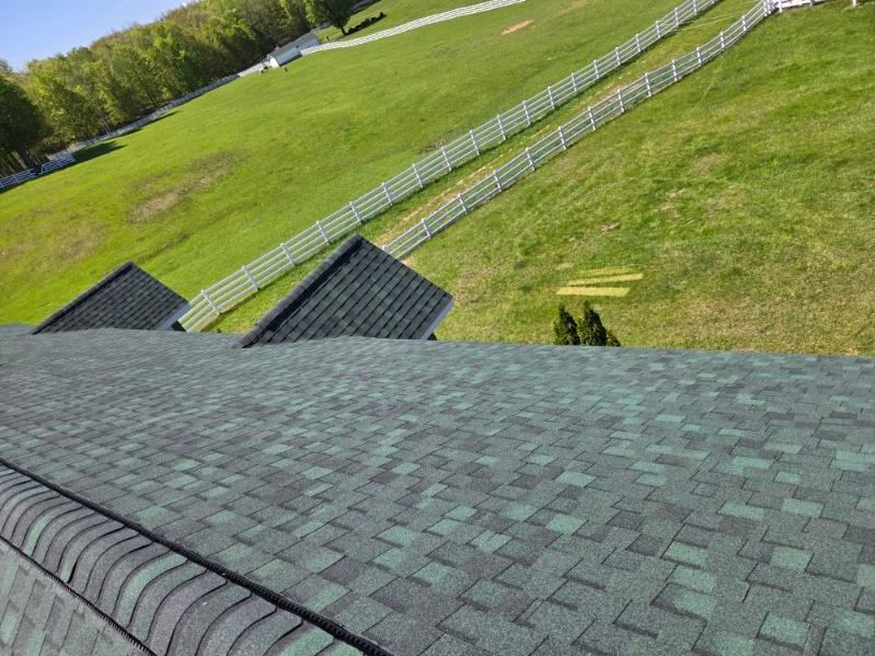  for Buck's Exteriors in Manistee, MI