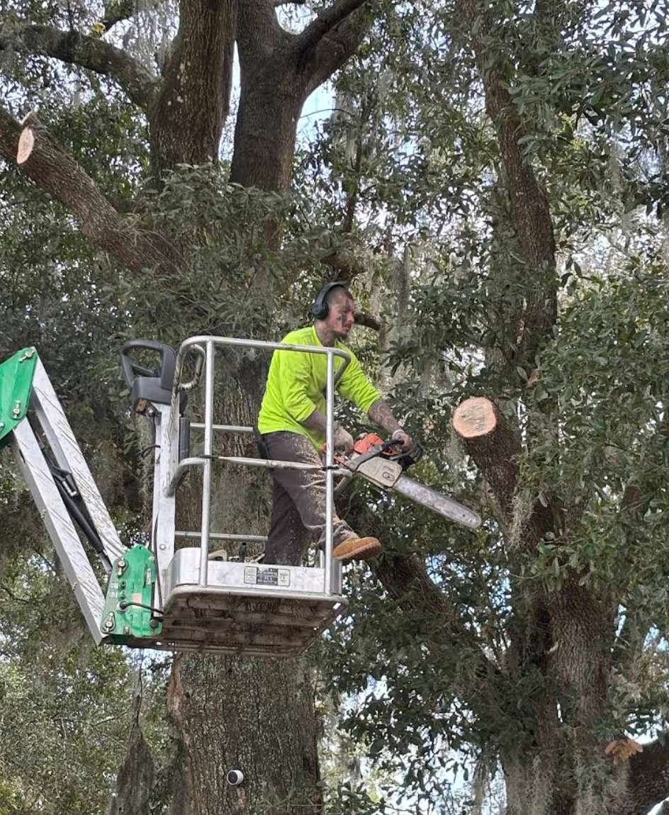 All Photos for Aztec Land Destroyers LLC in Ocala, FL