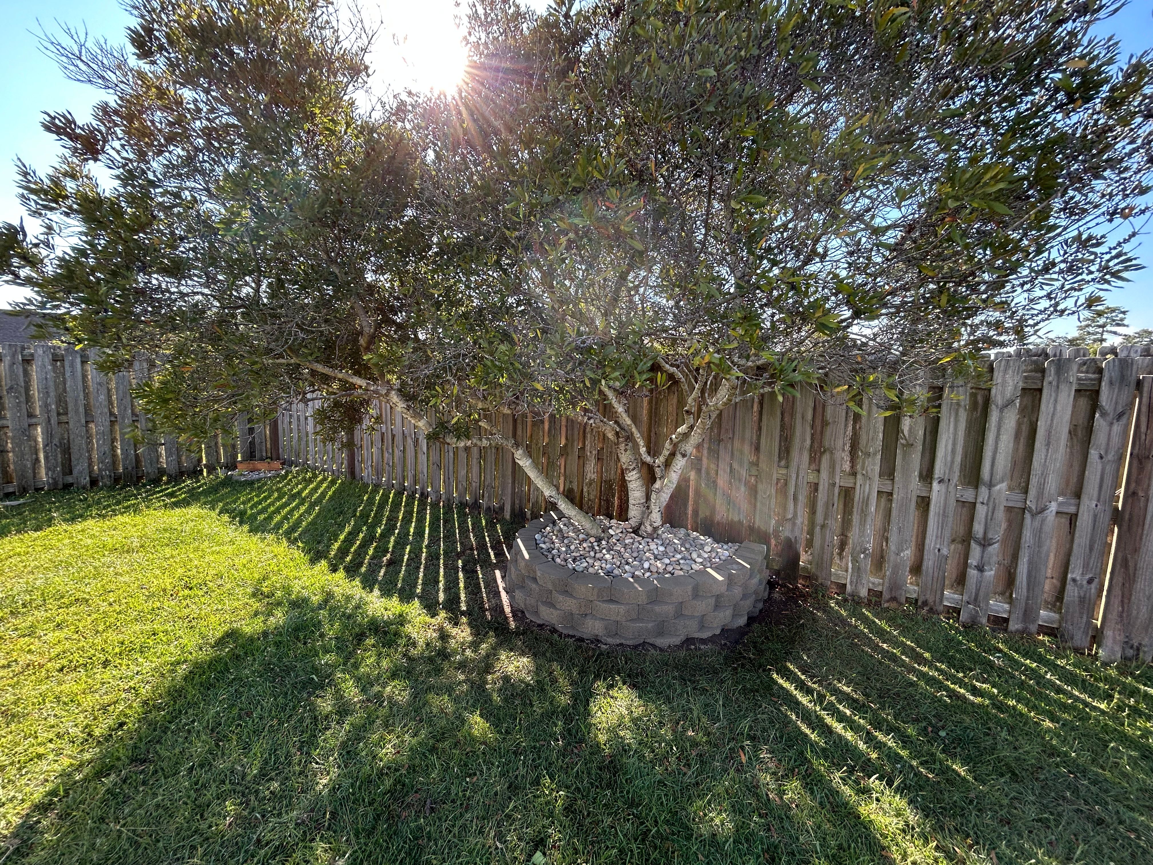  for Top Notch Landscape in Sneads Ferry, NC