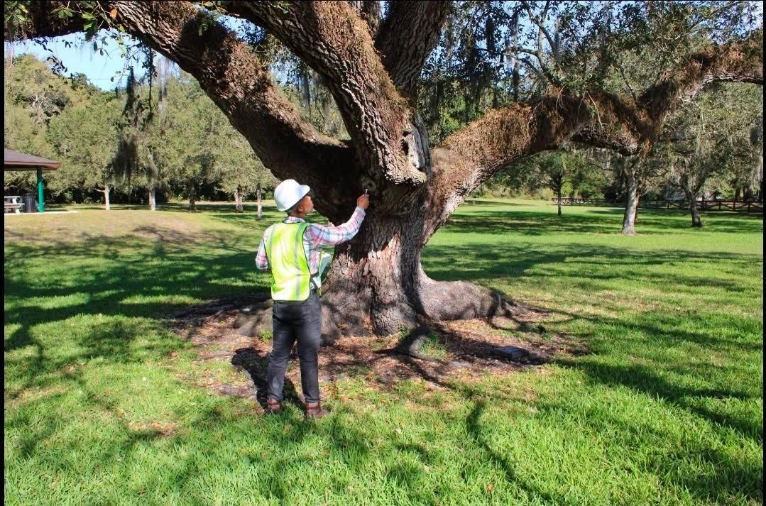  for Bridgewater Arbor Care LLC in Jupiter, FL