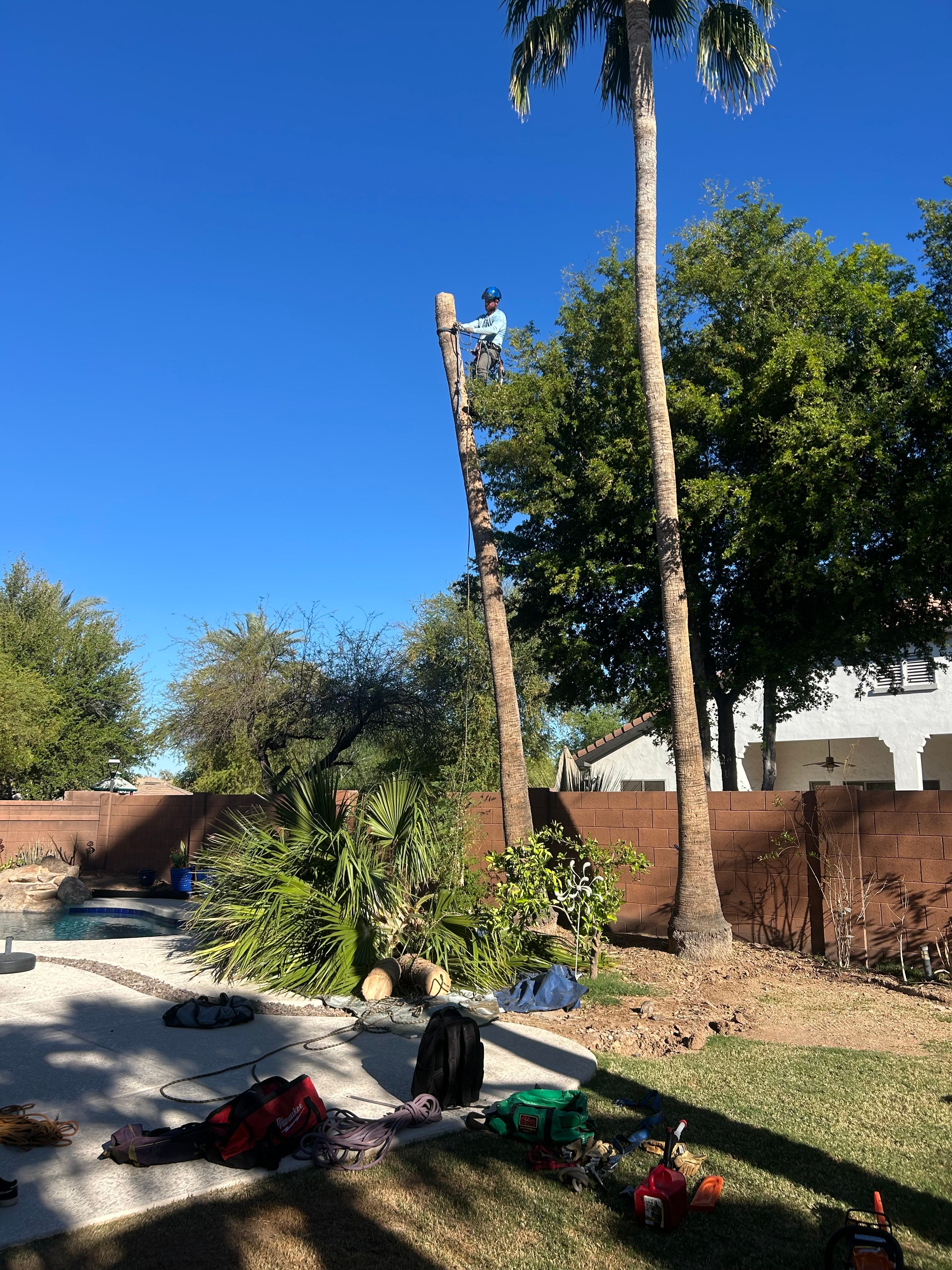 for Copperhead Solution in Phoenix, Arizona