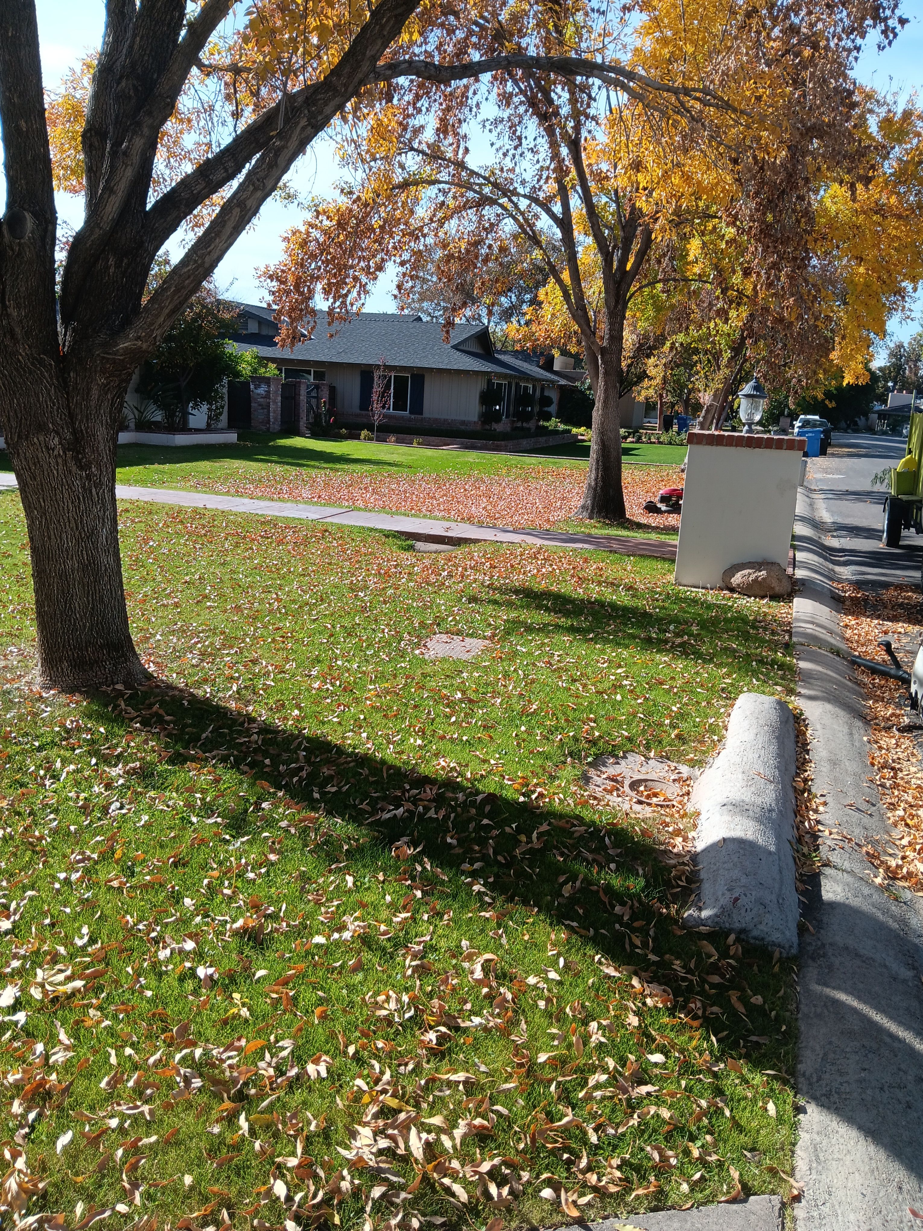  for Family Landscaping in Phoenix, AZ