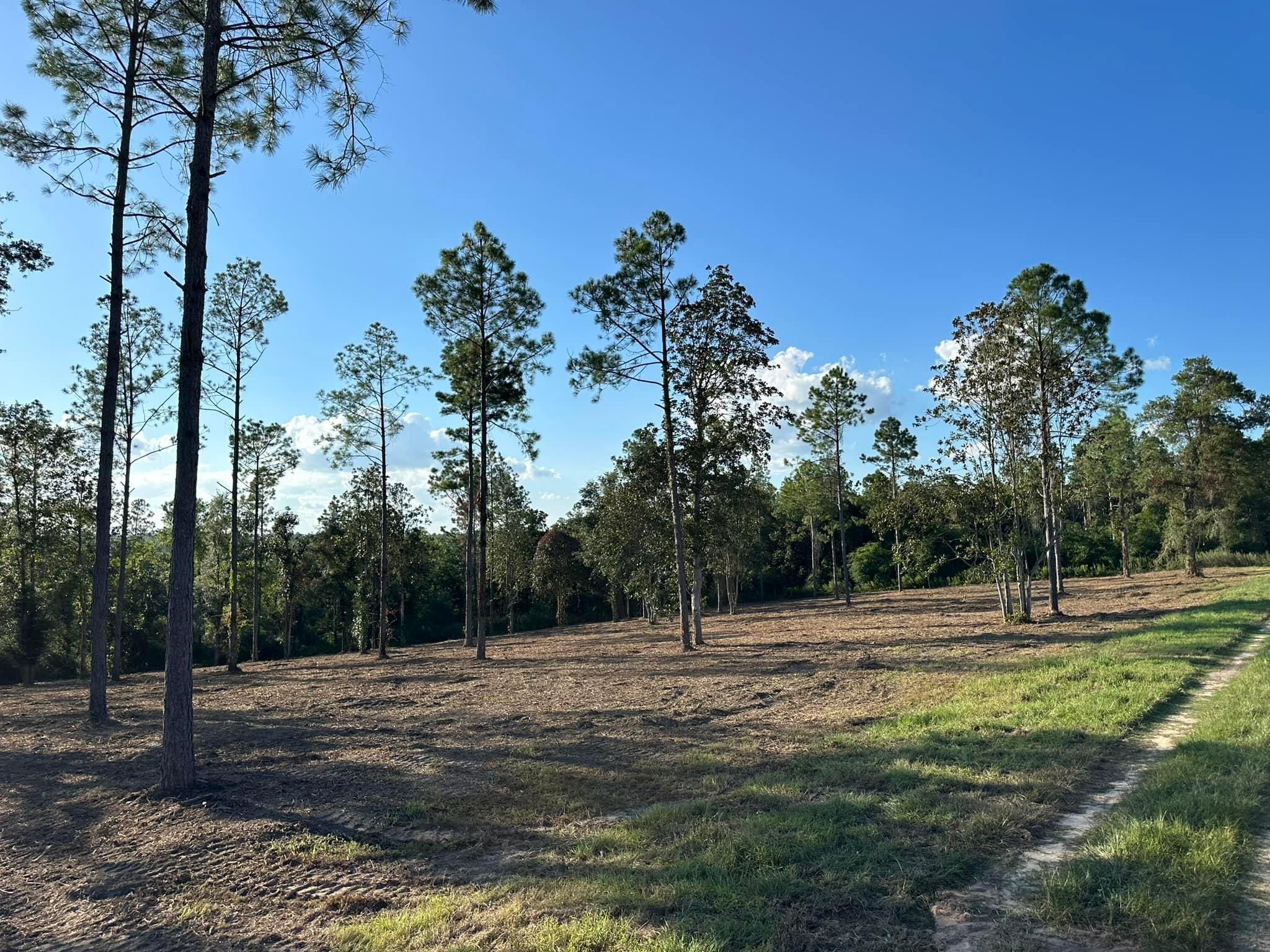 All Photos for White’s Land Maintenance in Milton,, FL