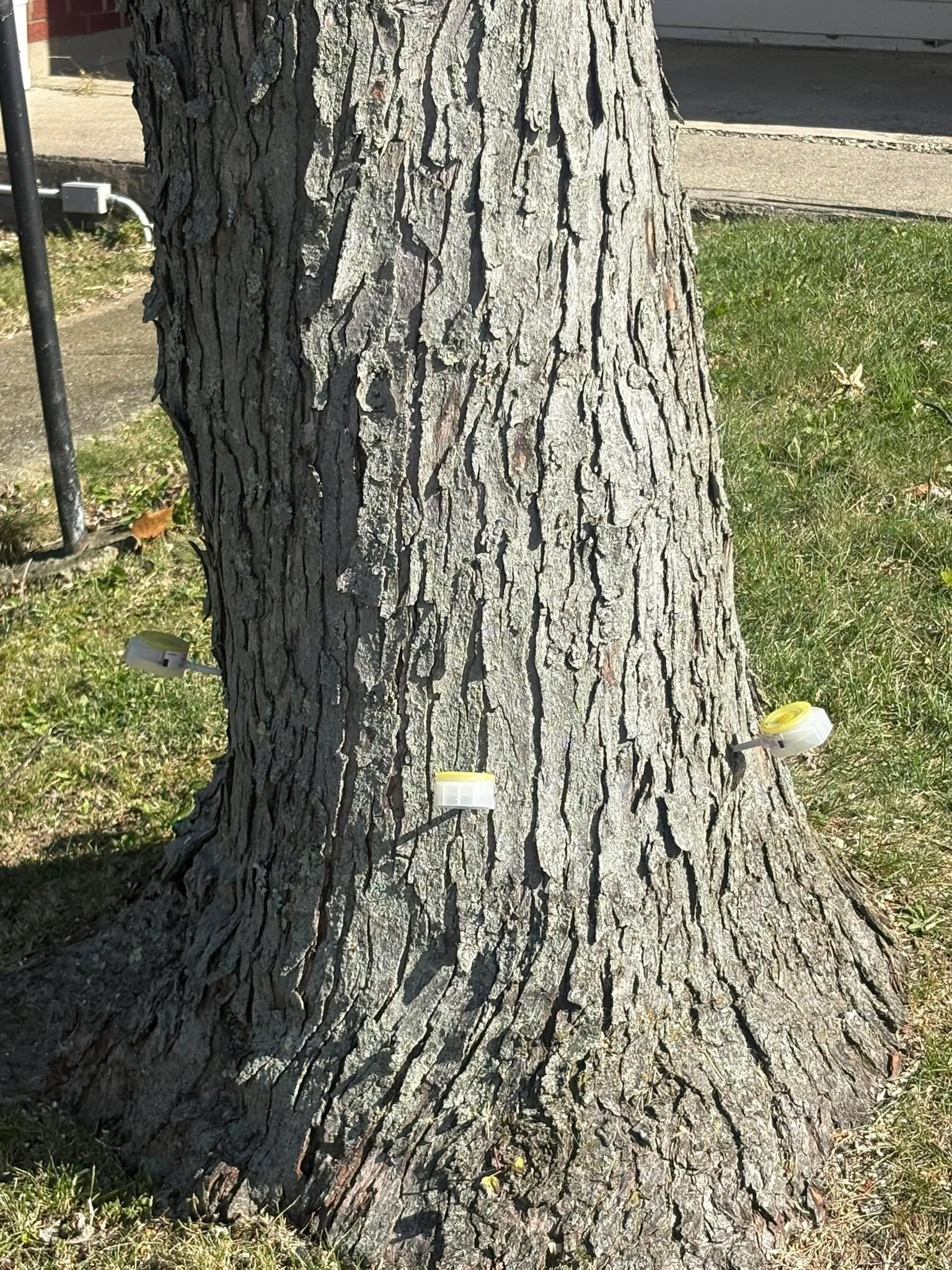  for Dig-It Tree Company in , 