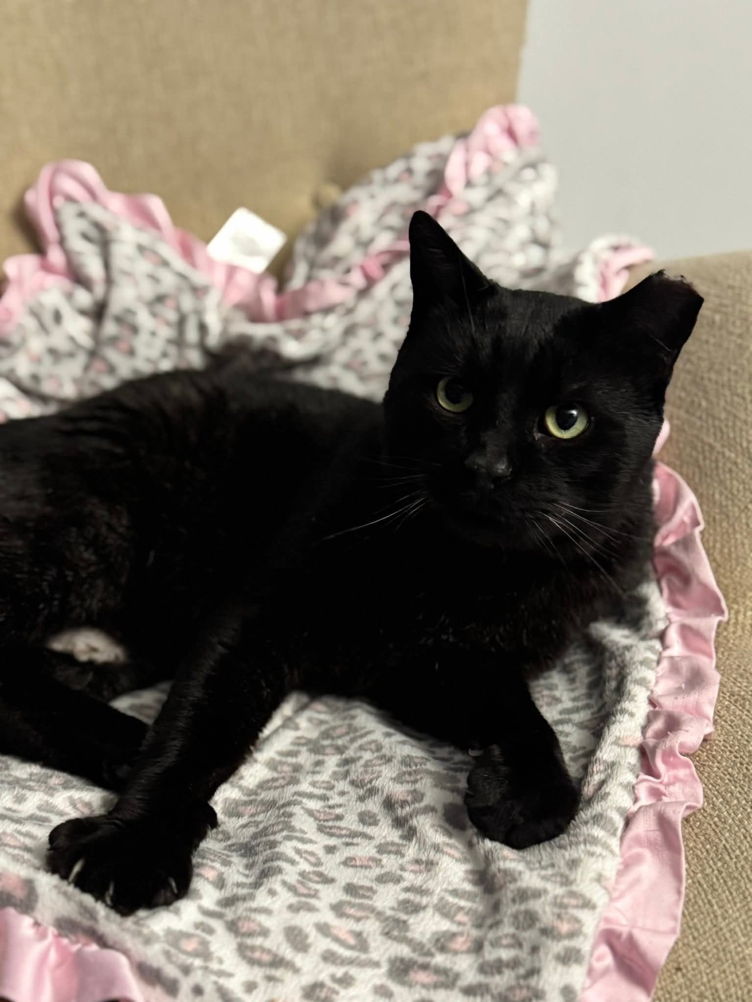  for Sullivan Sanctuary of Maine in Brunswick, ME