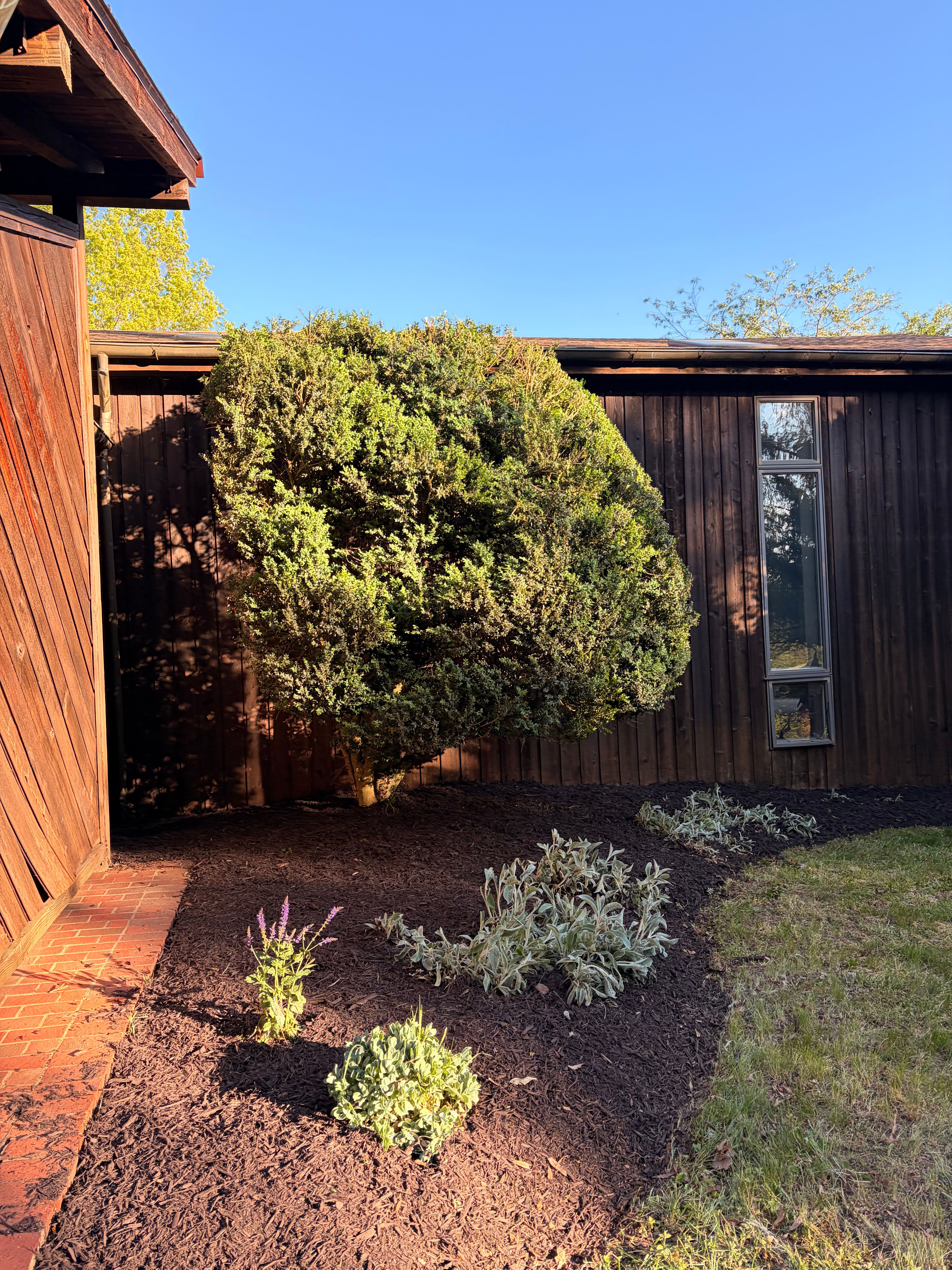  for Valencia’s Lawncare in Charlottesville, VA