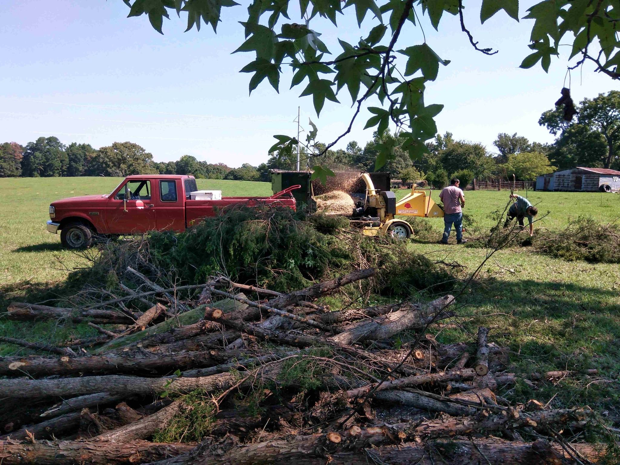  for Reymundo's Tree Service in Brownsboro, TX