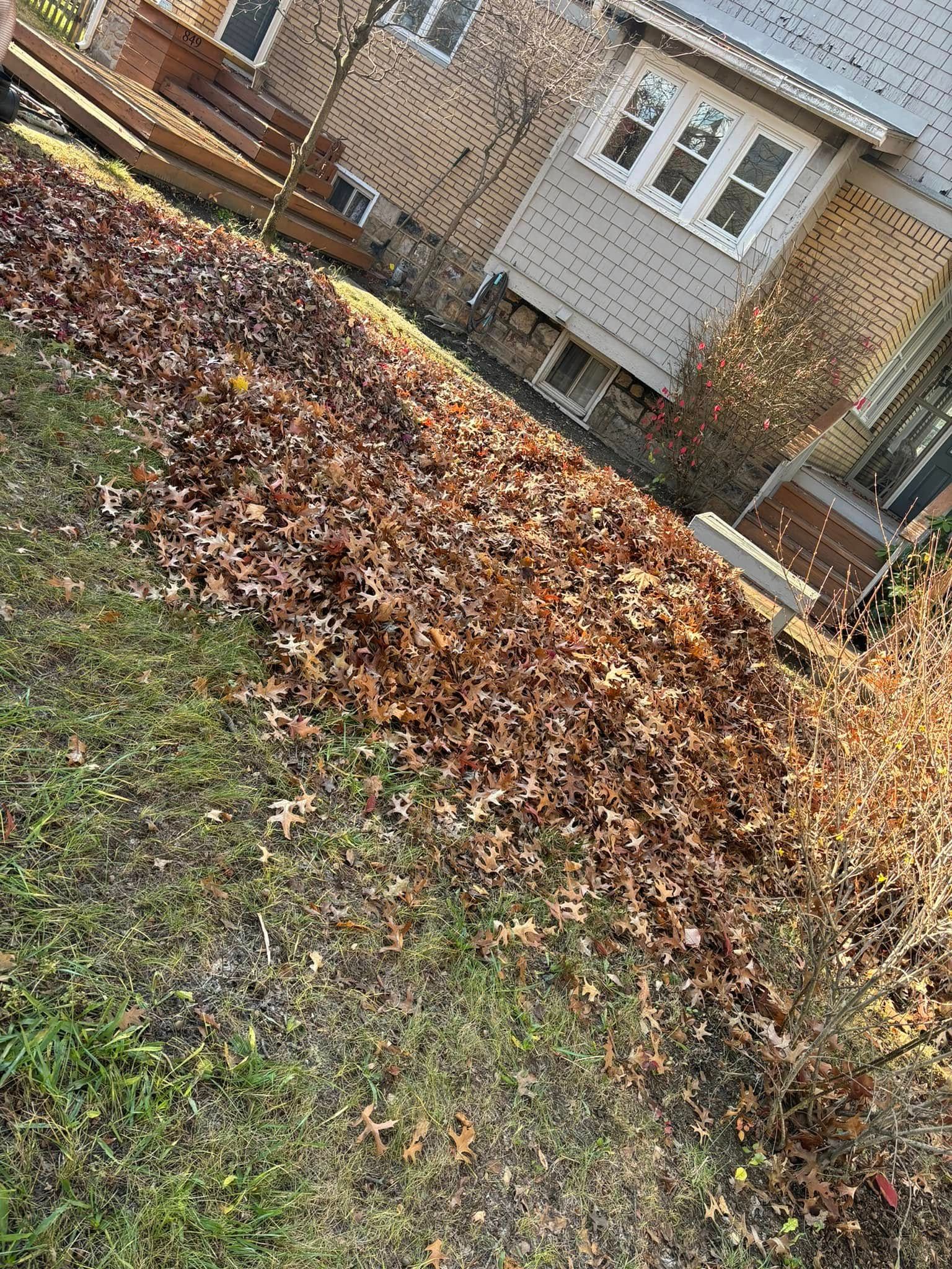  for Bryant Property Solutions in Altoona, PA