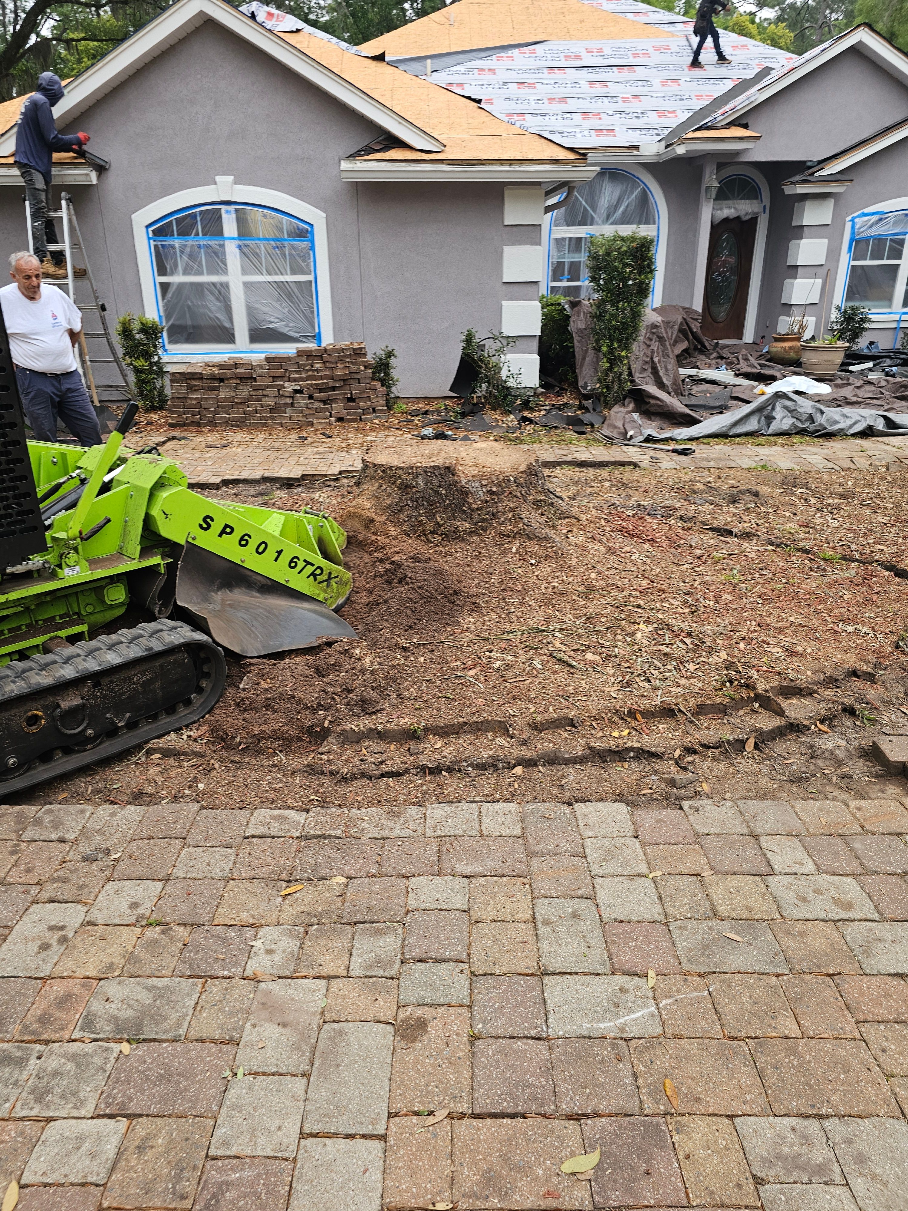  for Stumps done right LLC in Middleburg, FL