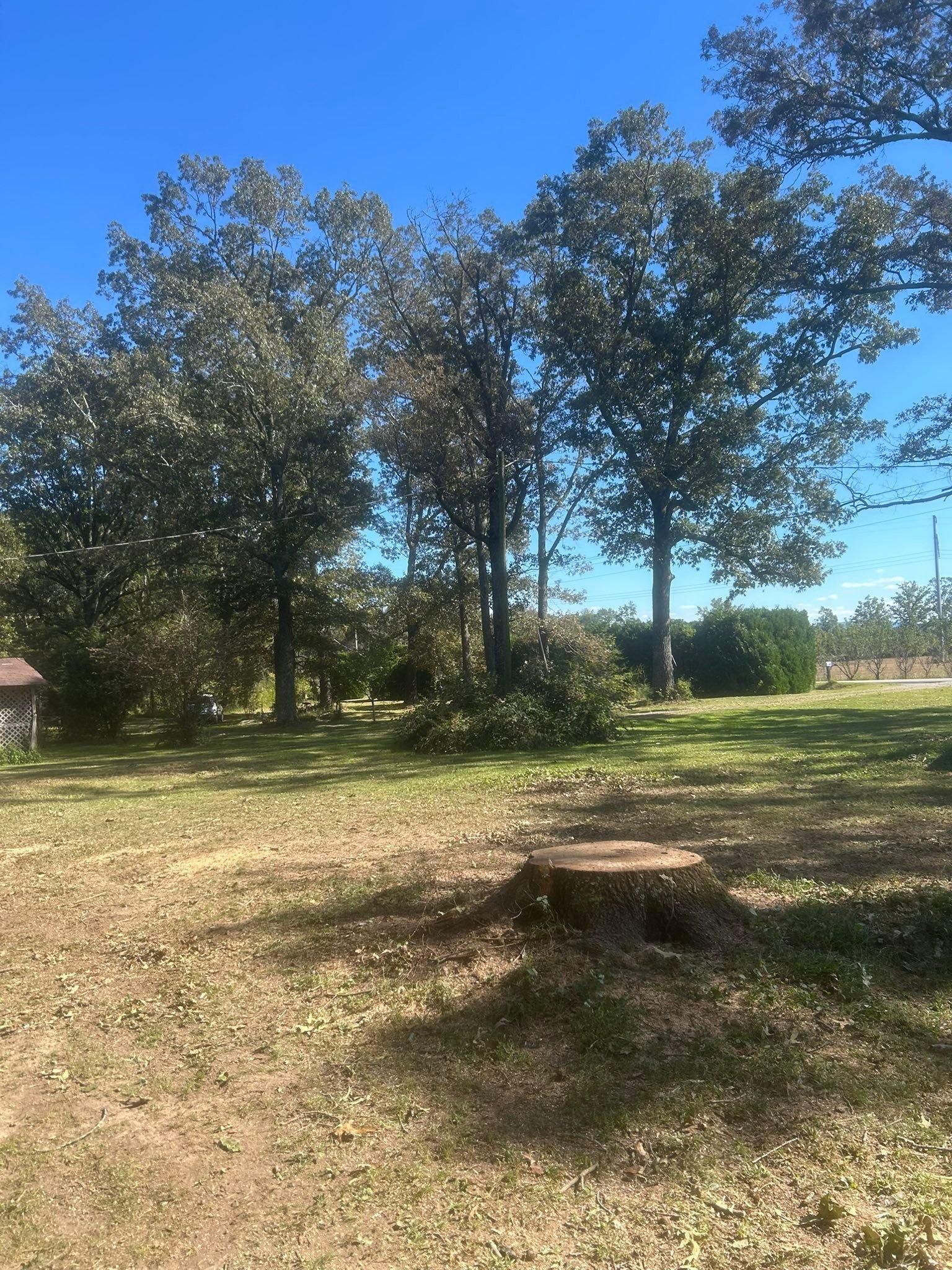  for McBee’s Tree Service in Sewanee, TN