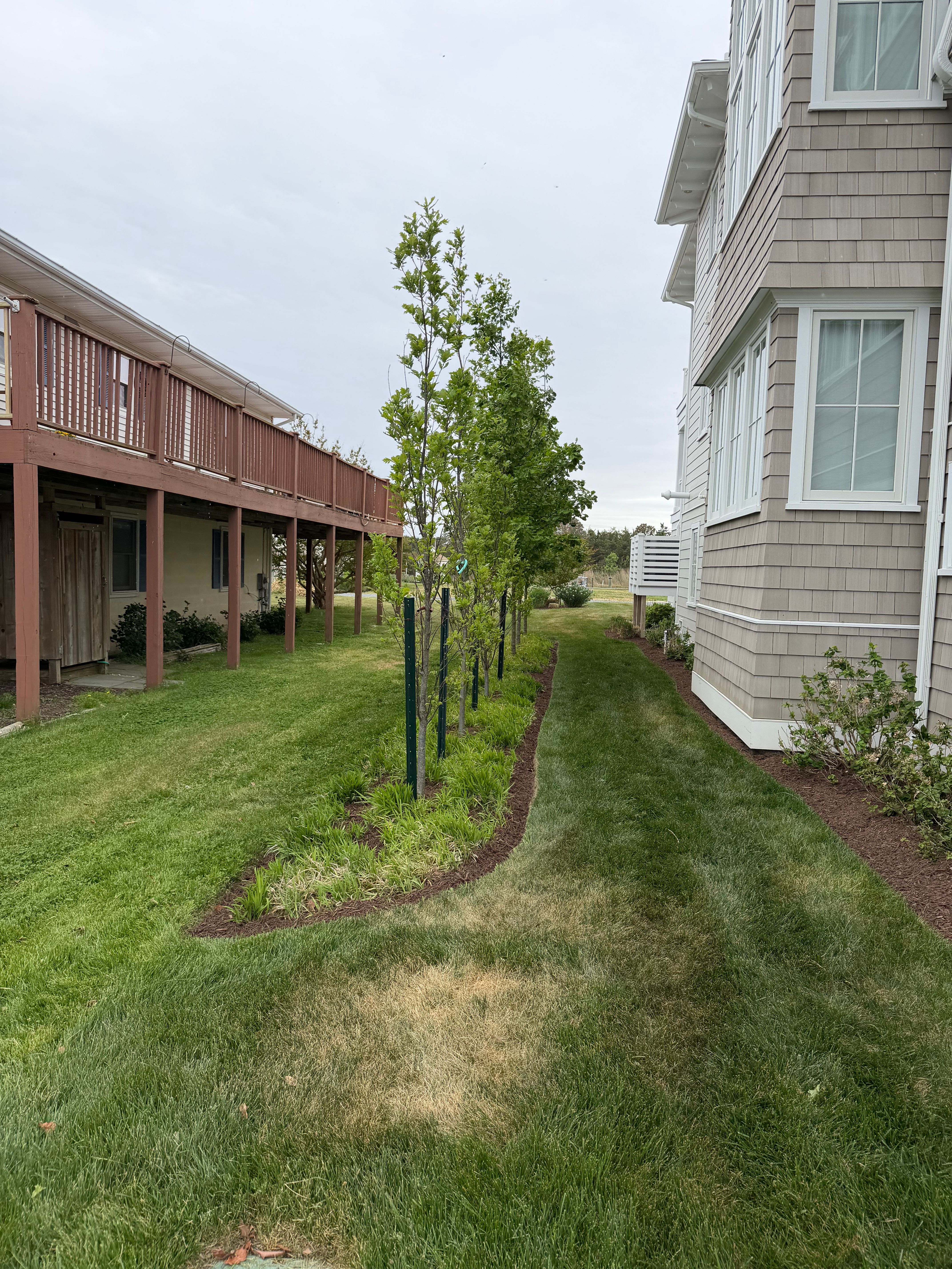  for Lawn pro services in Georgetown, DE
