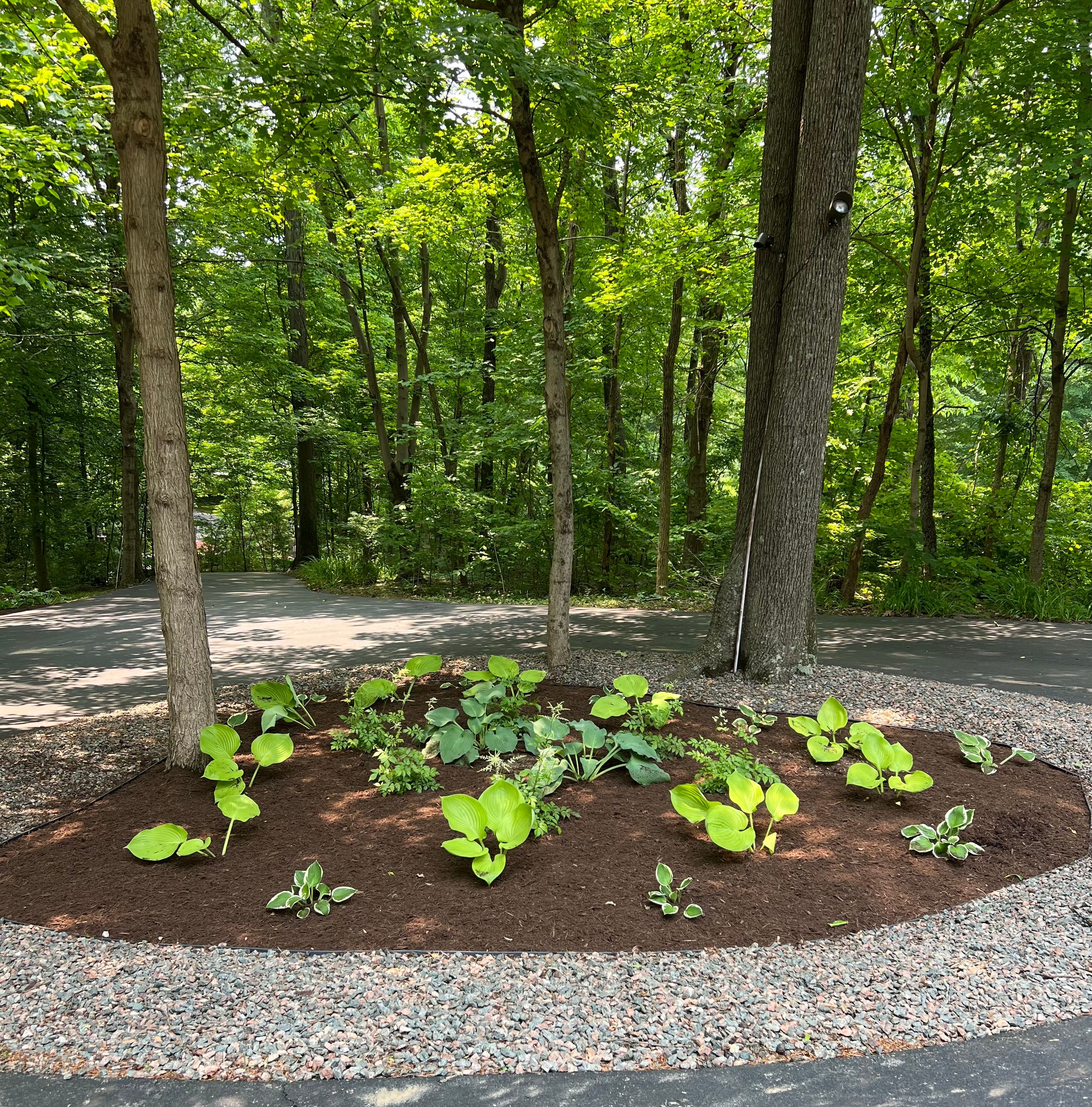  for Full Service Landscaping in Louisville, KY