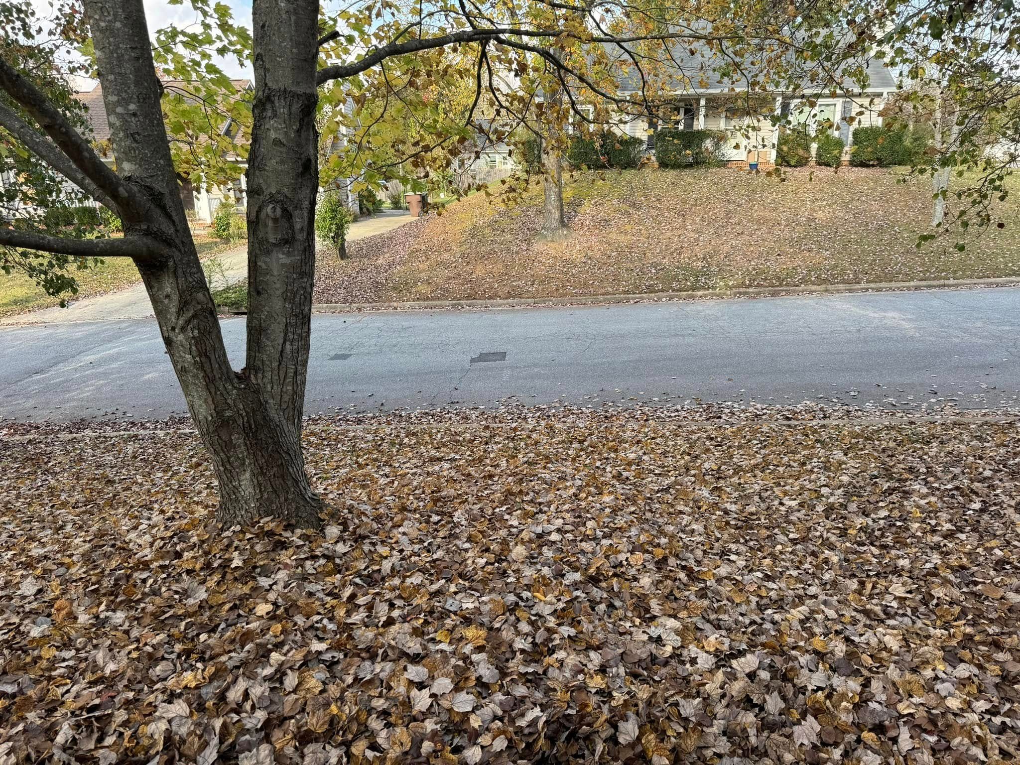 All Photos for Meade tree service in Greensboro, NC