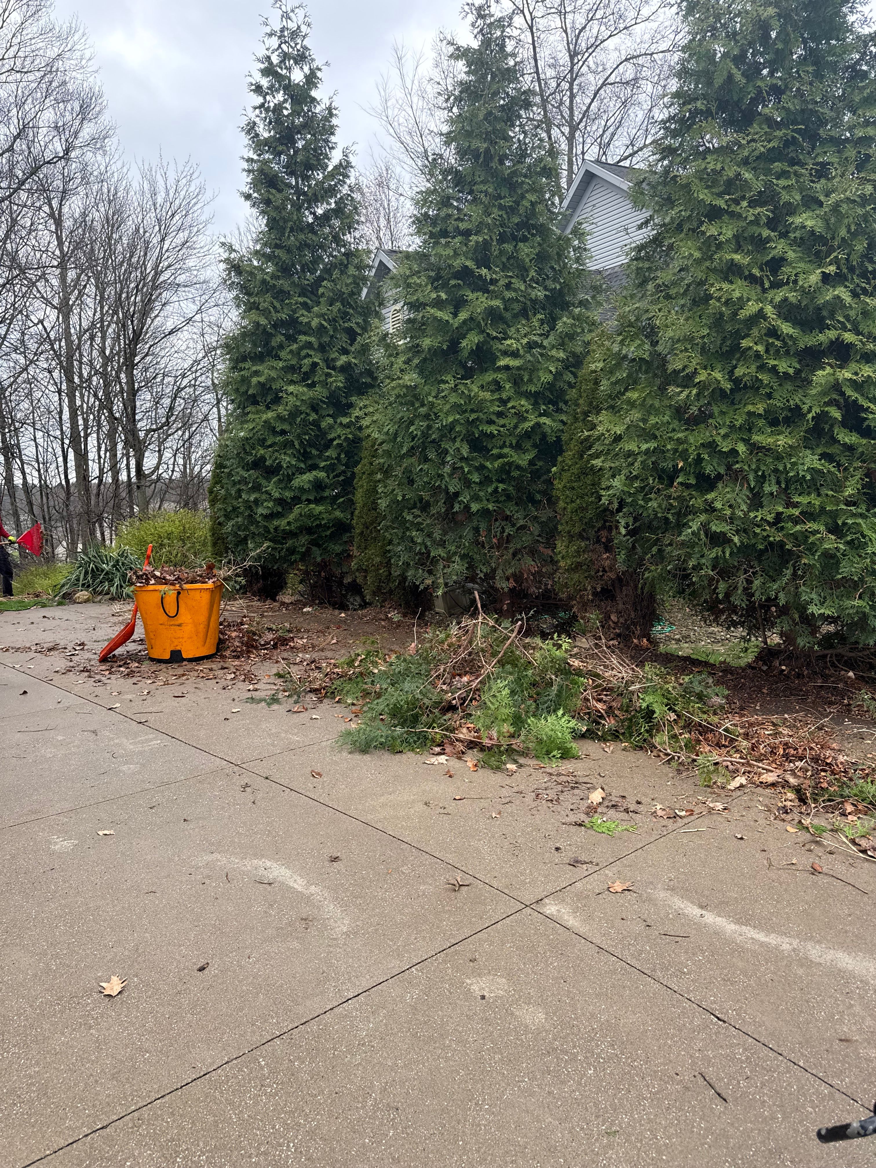  for Jenkins Landscaping & Property Management LLC in Clinton, OH