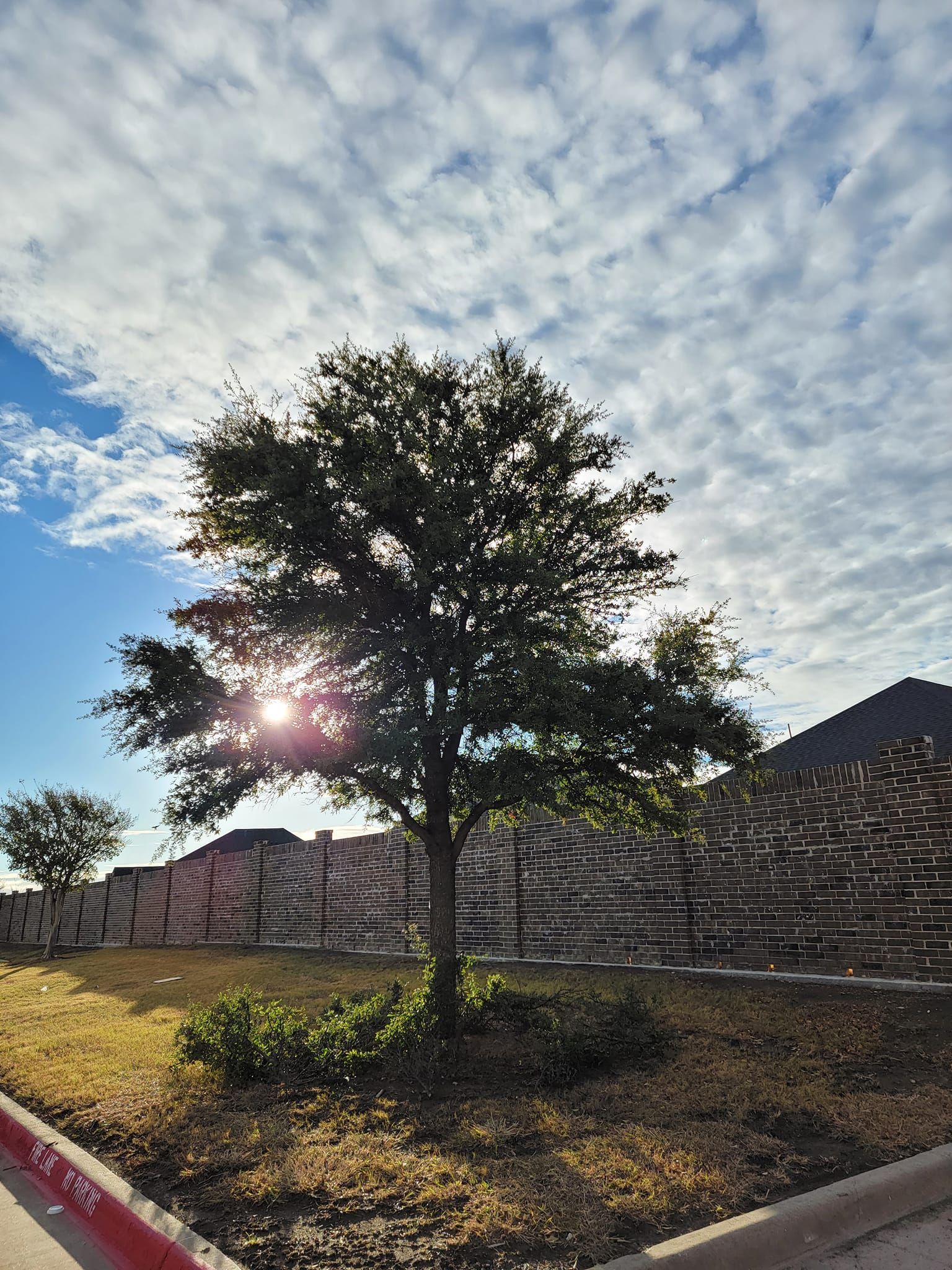  for RACSO RDZ LLC in McKinney, TX