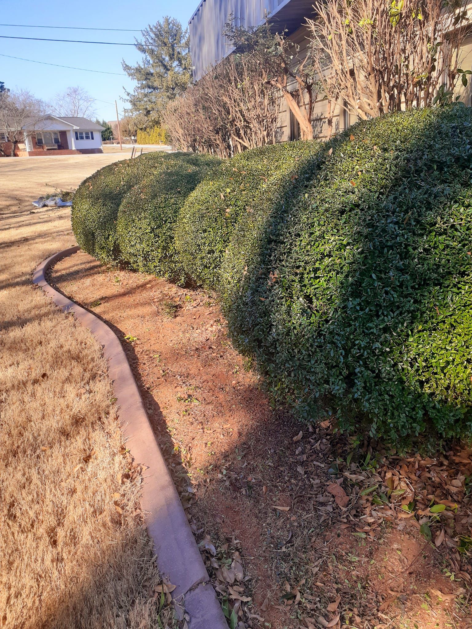  for Down To Earth Tree and Landscaping in Greenville, SC