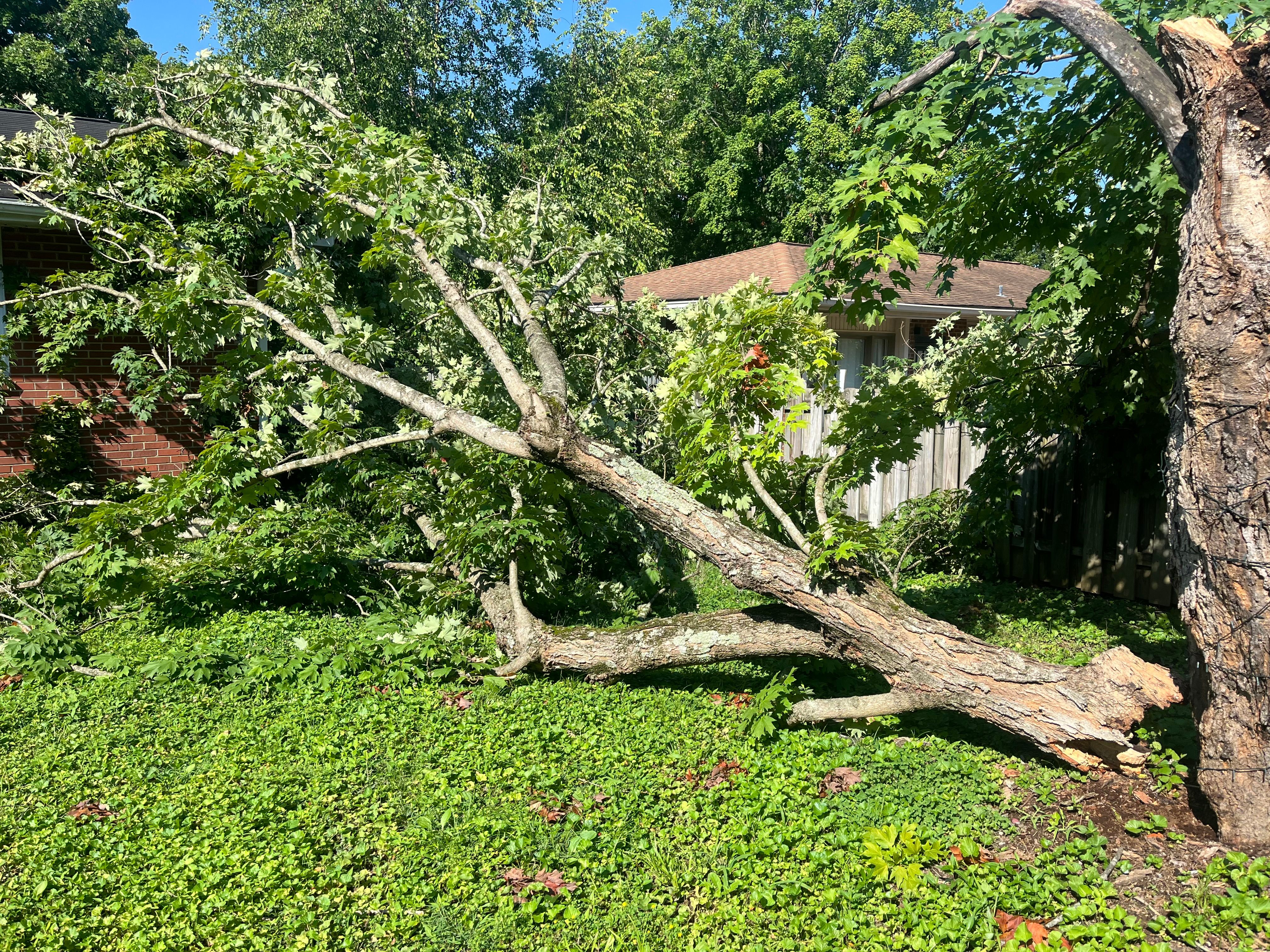 All Photos for Real Deal Lawn Care in Goodlettsville, TN