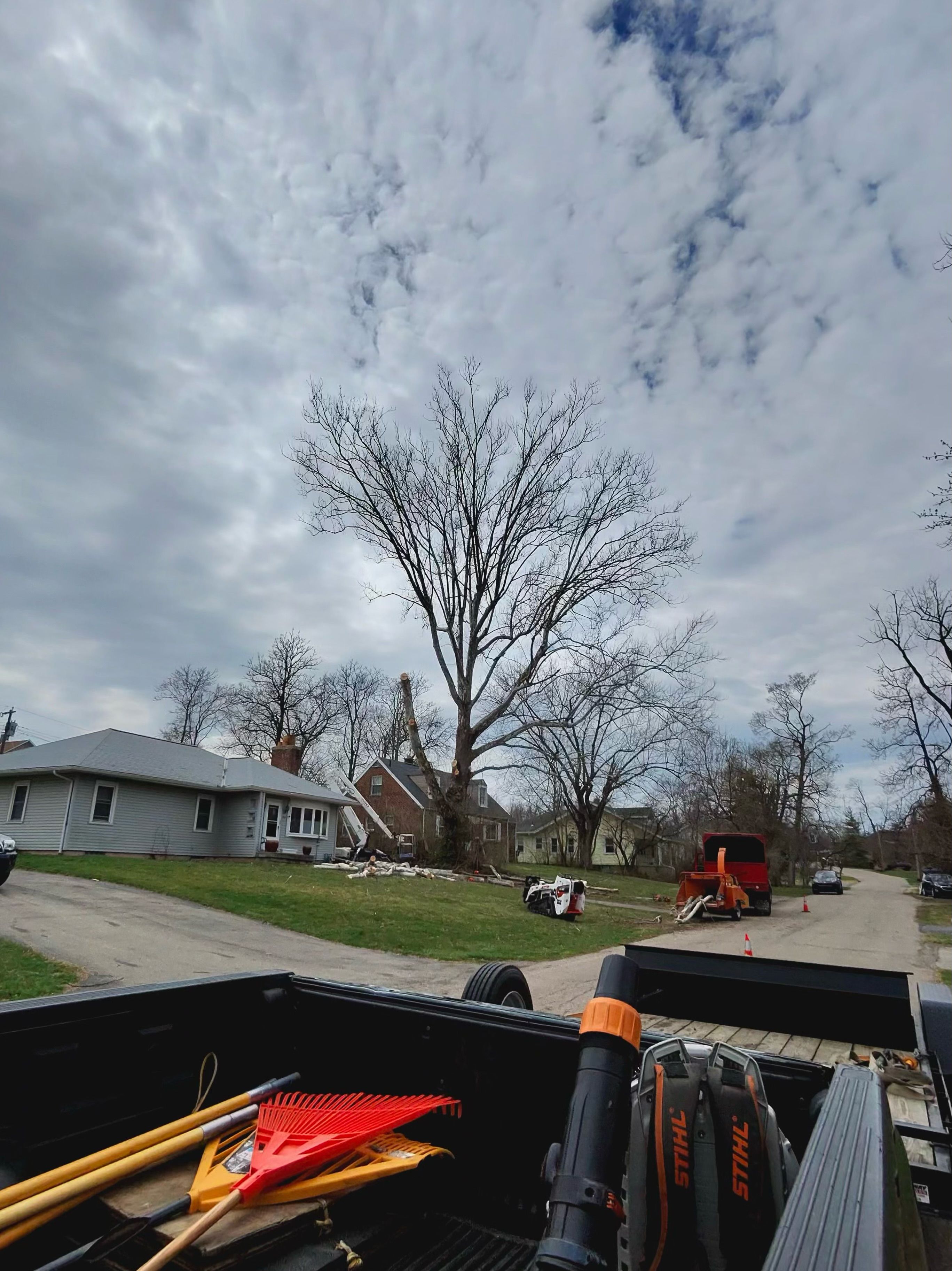 All Photos for Pro Tree Trim & Removal, Llc in Dayton, OH