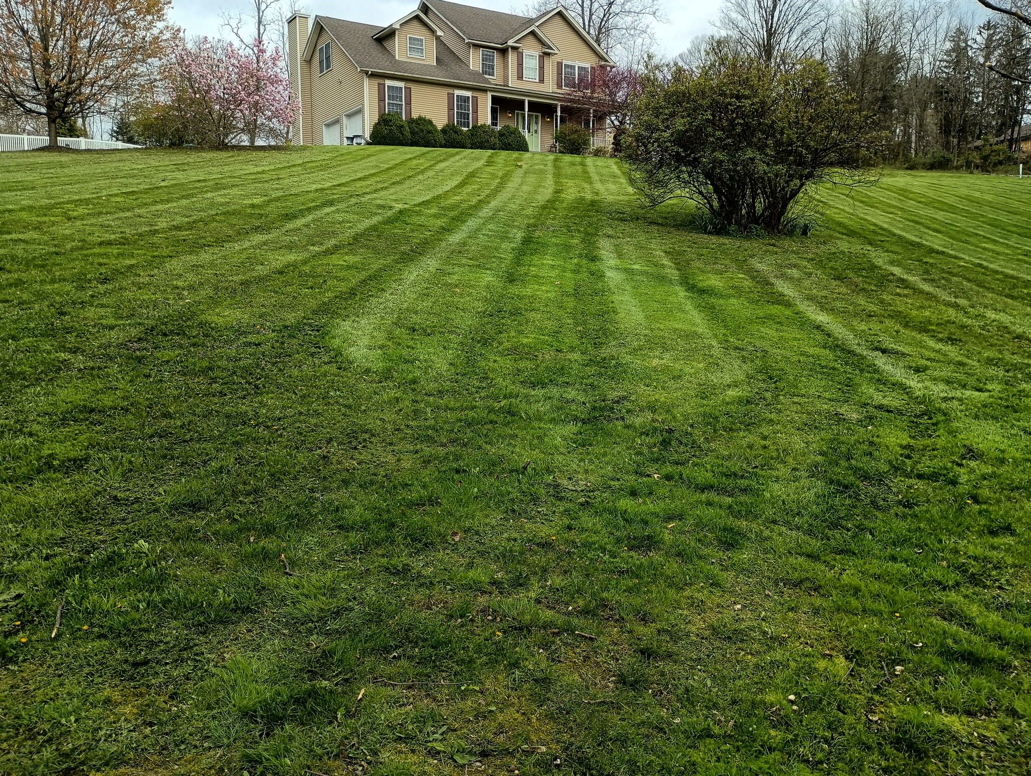  for Scott's Lawn Care and Landscaping LLC in Modena, NY