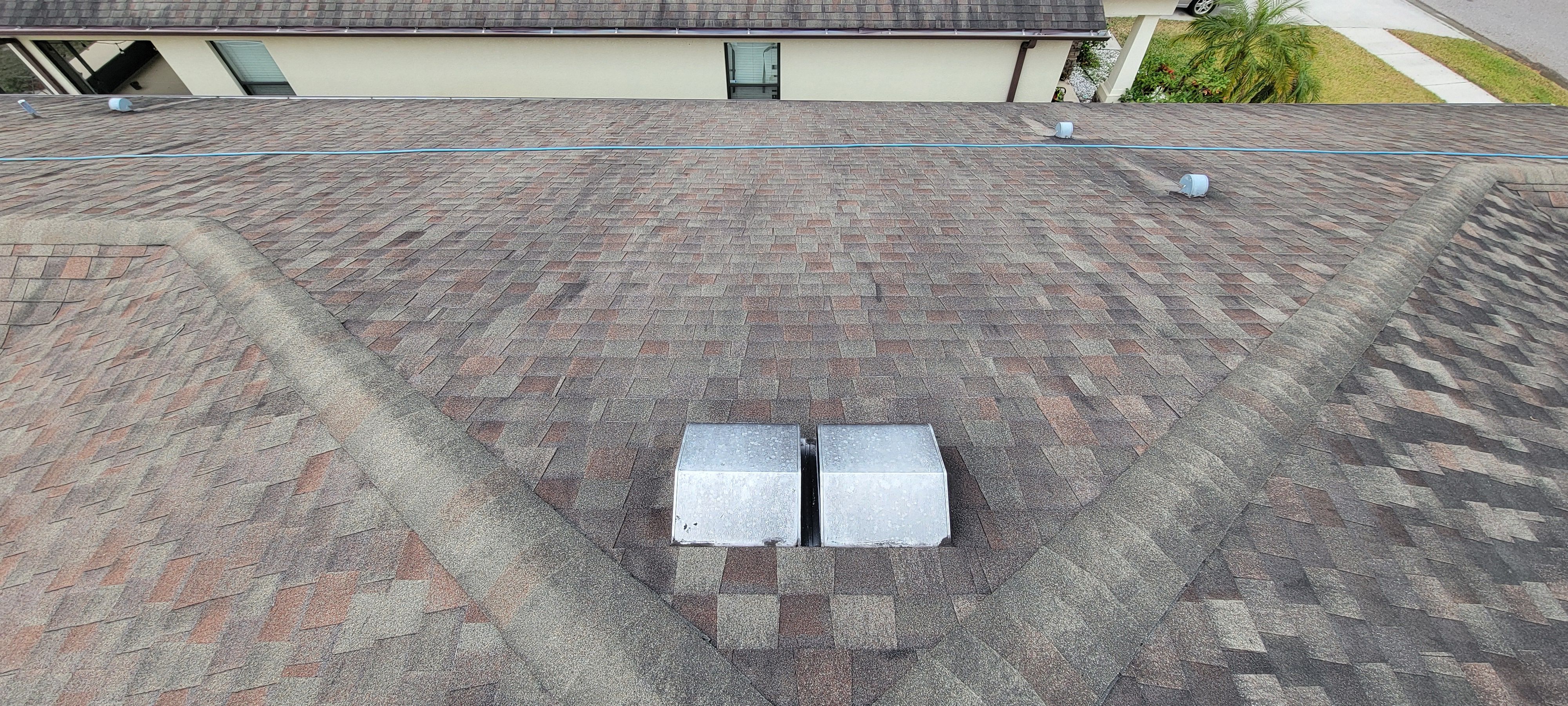  for Blue Stream Roof Cleaning & Pressure Washing in Tampa, FL