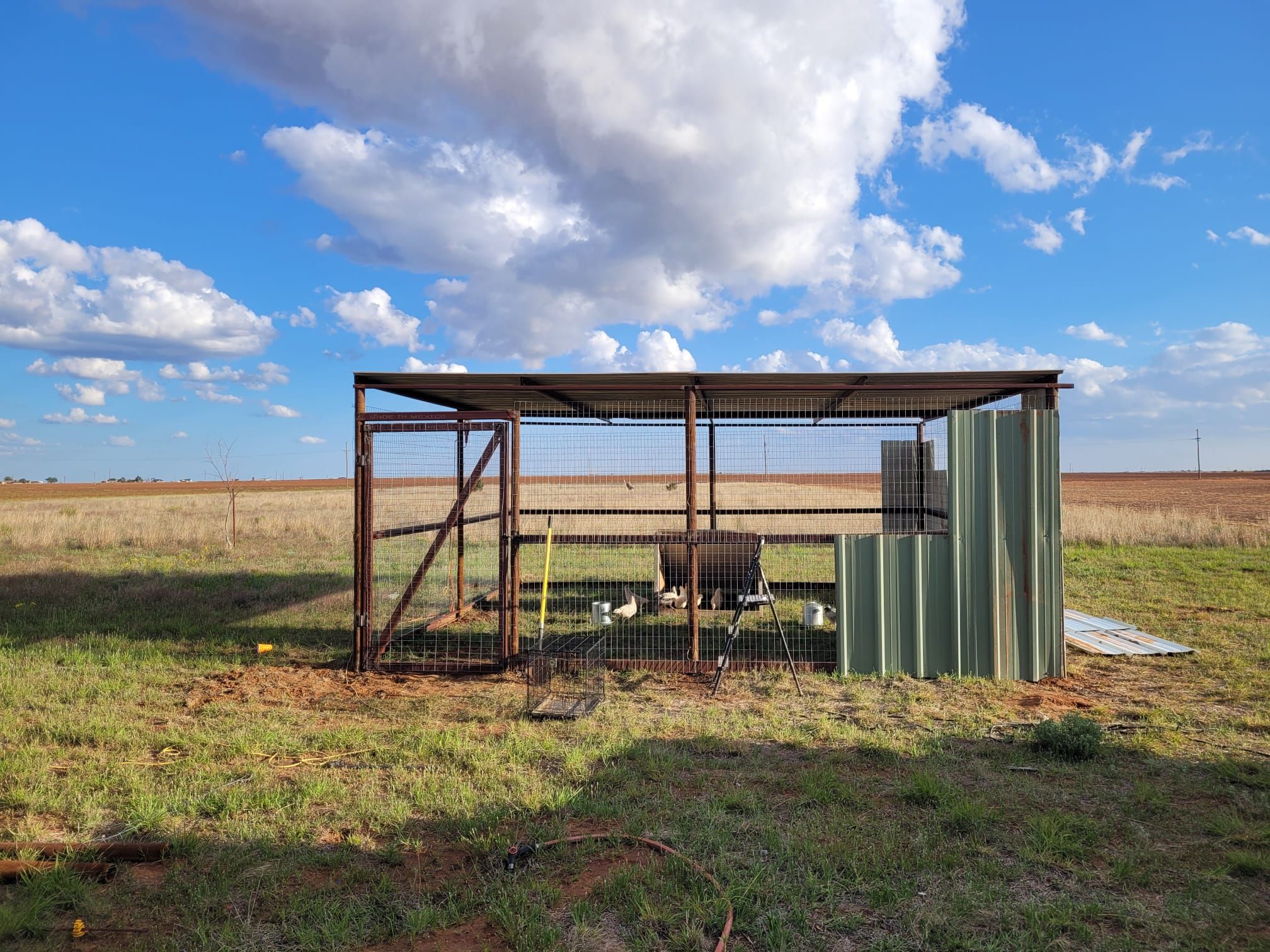 Chicken Pen for Prairie Land Properties LLC in Lubbock, TX