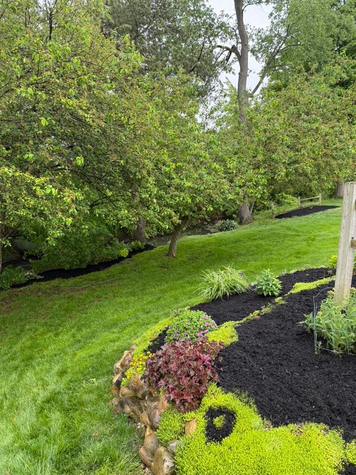  for Next Level Outdoor Services in Akron, OH