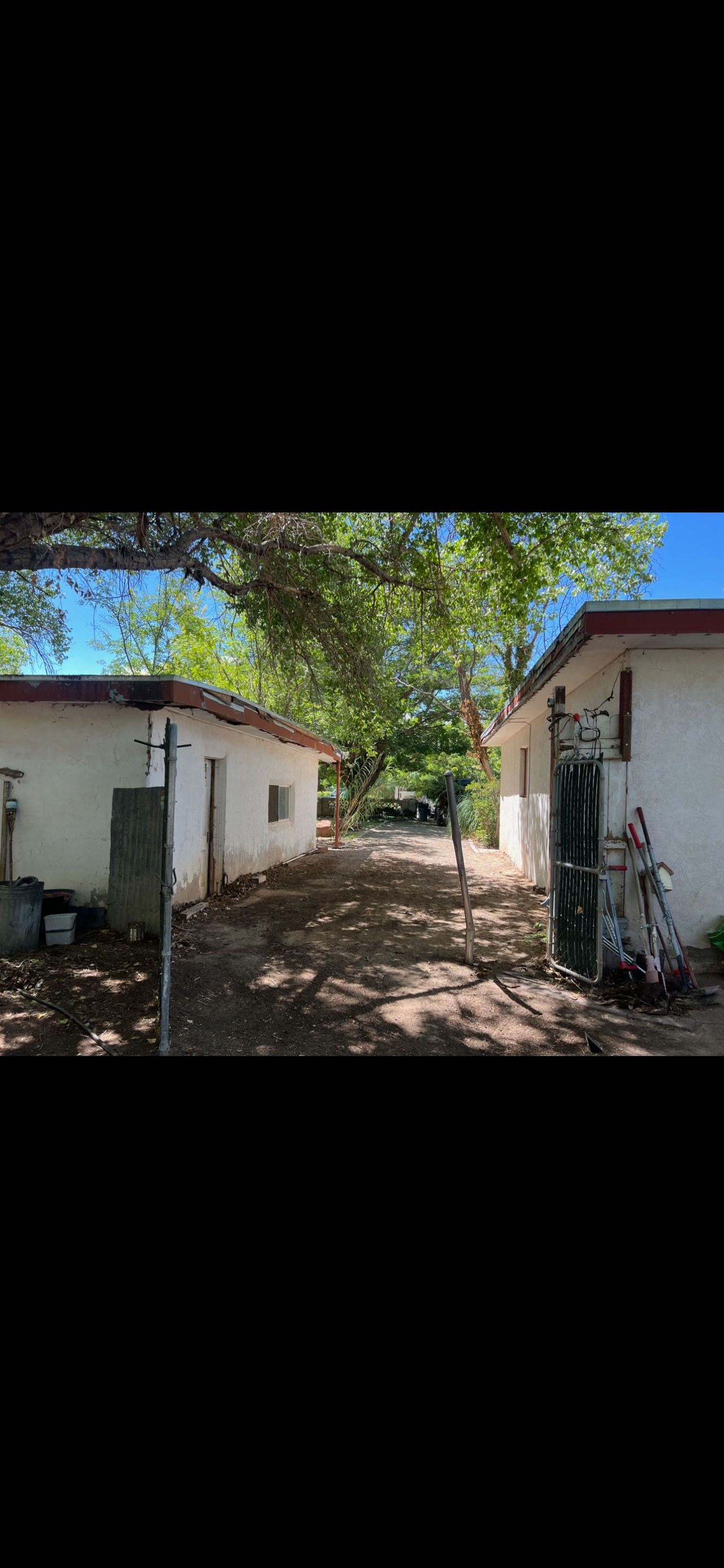  for Luxury Junk Removal Yard Care in Albuquerque, NM